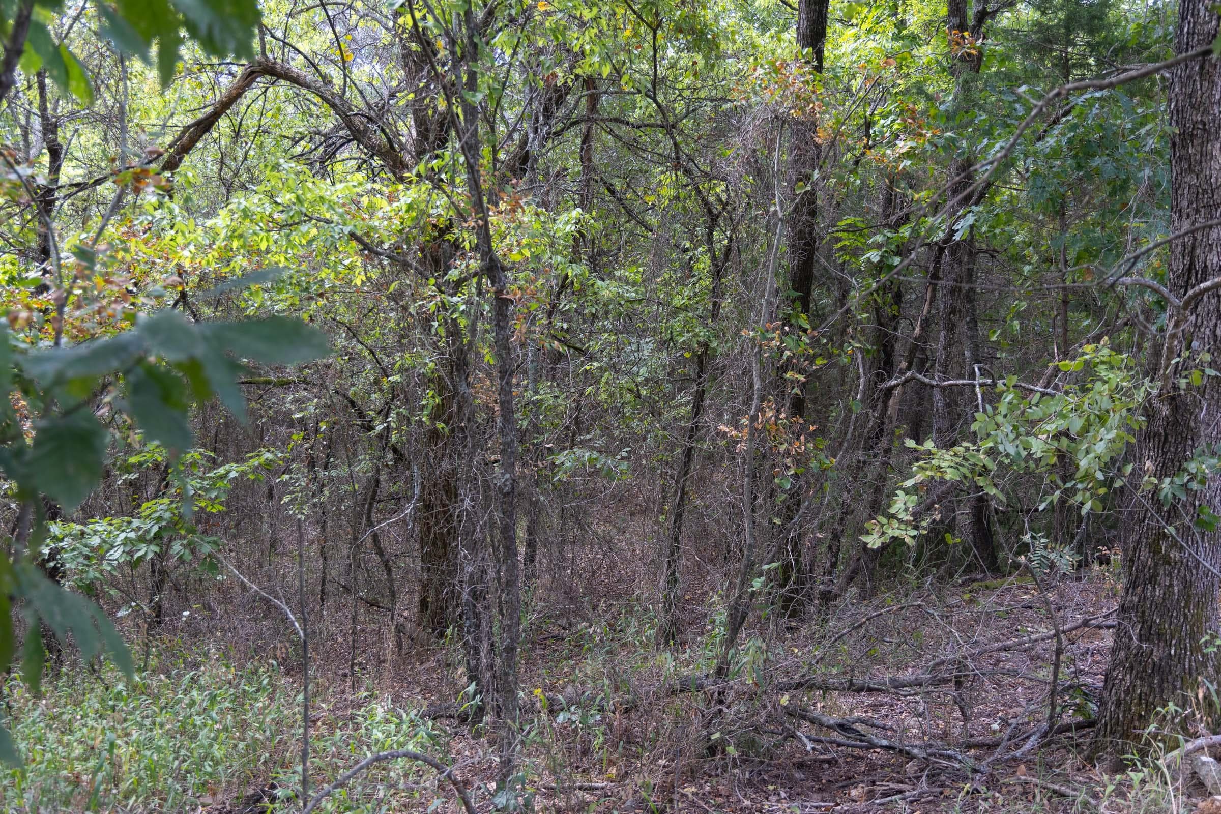  Reserves At Cattail Cove Phase II — Zero Credit Land owner financed land for sale in Pittsburg County, Oklahoma photo 68