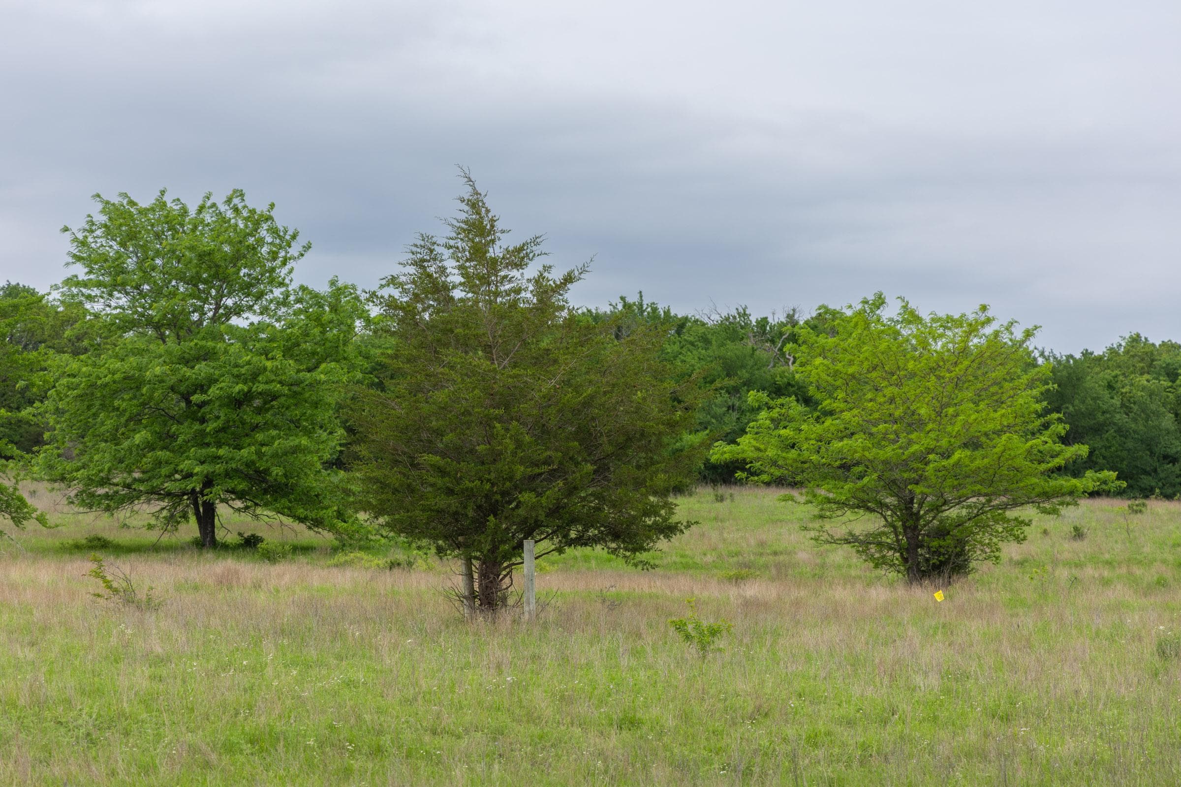 Harmony Hills — Zero Credit Land owner financed land for sale in Pittsburg County, Oklahoma photo 156