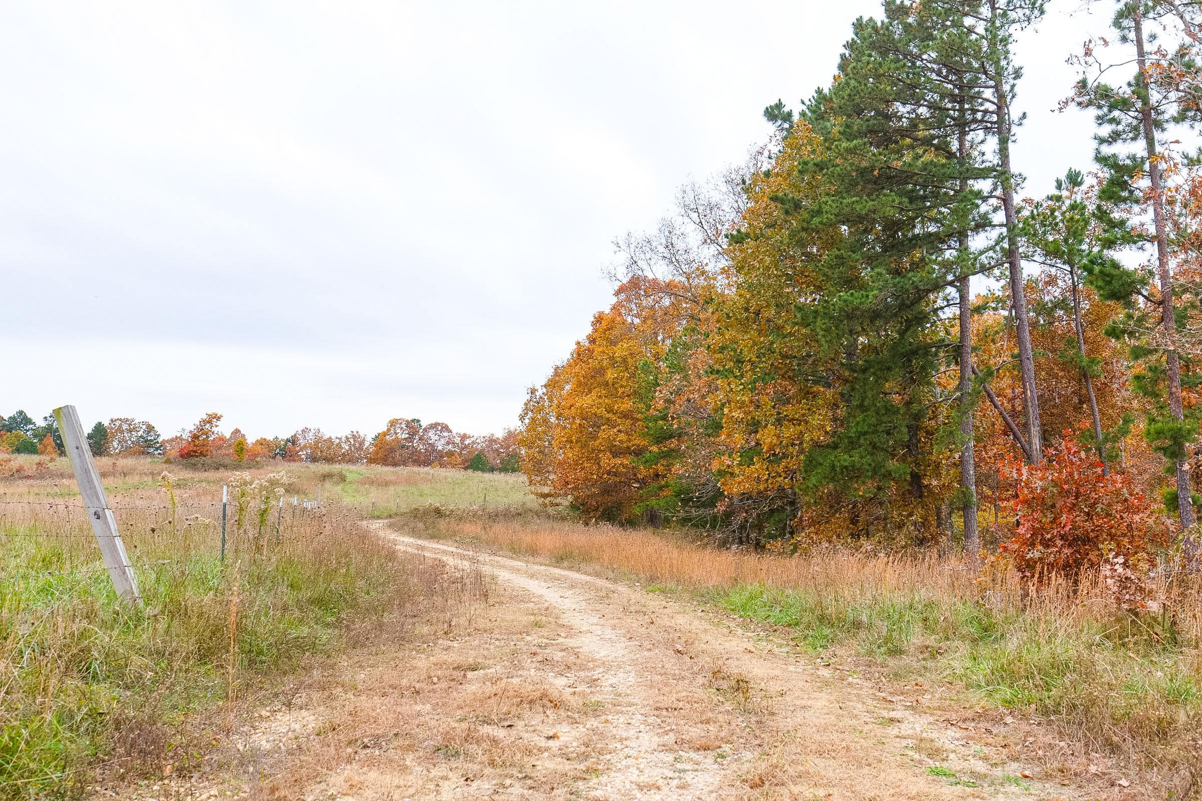 Hawk Crest — Zero Credit Land owner financed land for sale in Reynolds County, Missouri photo 4