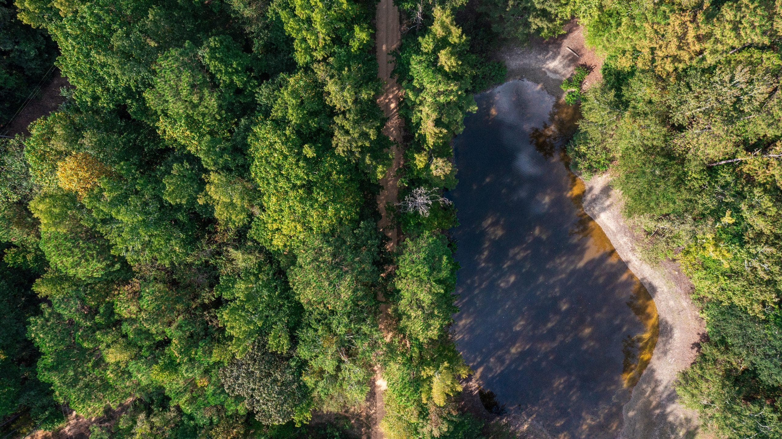 Willow Grove — Zero Credit Land owner financed land for sale in Lamar County, Alabama photo 38