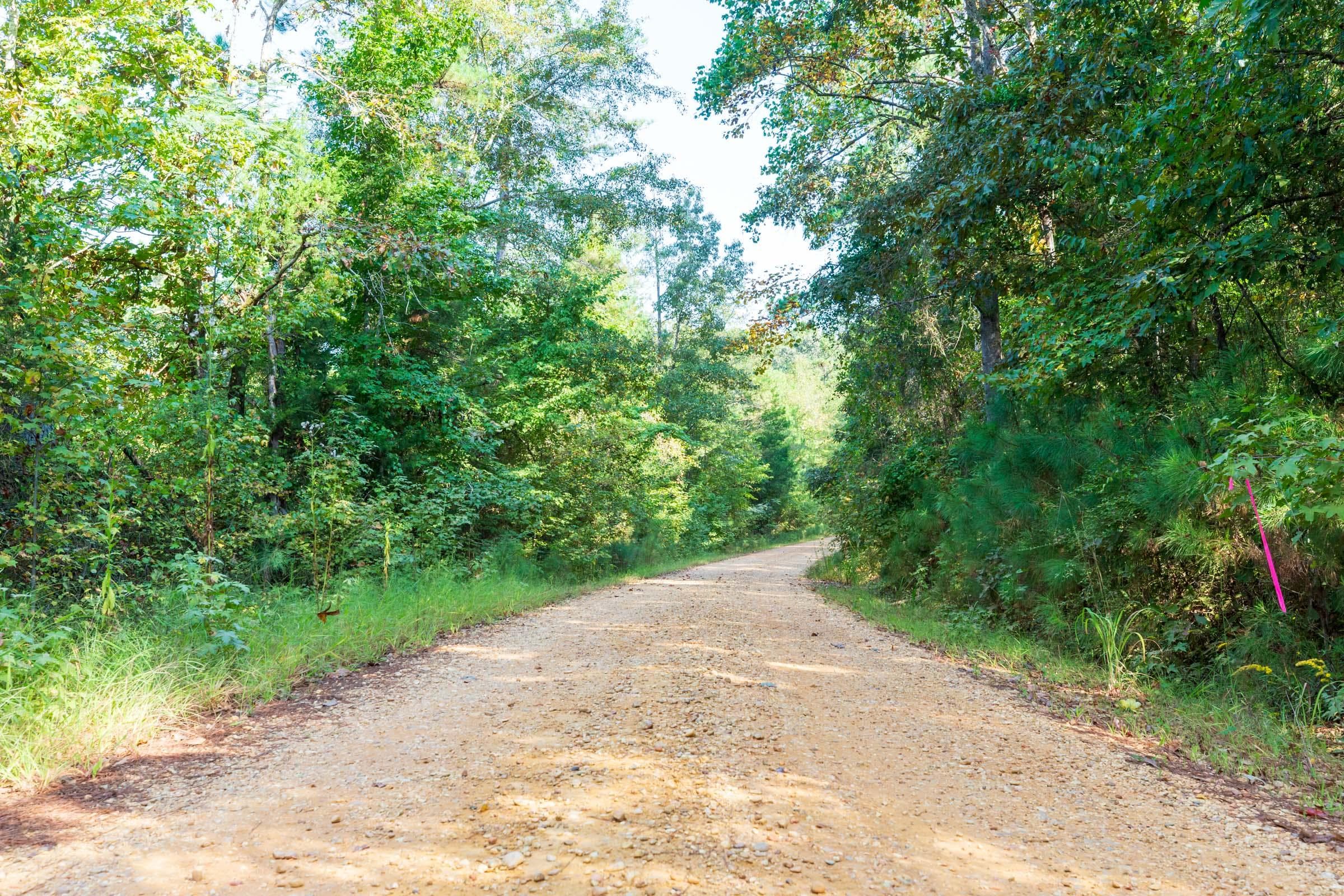Willow Grove — Zero Credit Land owner financed land for sale in Lamar County, Alabama photo 27