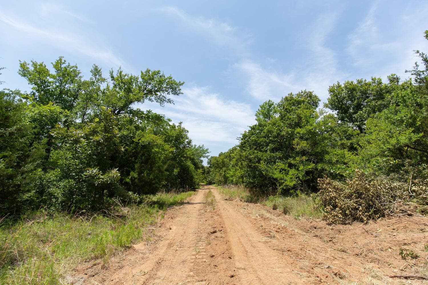 Timber Ridge — Zero Credit Land owner financed land for sale in McIntosh County, Oklahoma photo 6