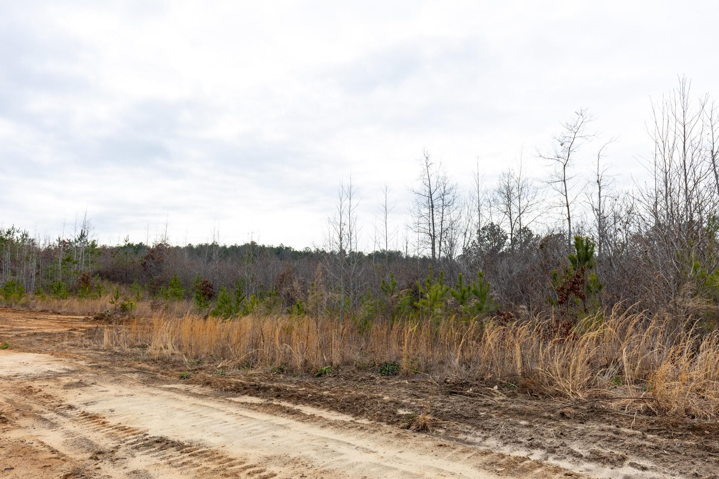 Baker Creek — Zero Credit Land owner financed land for sale in Fayette County, Alabama photo 2