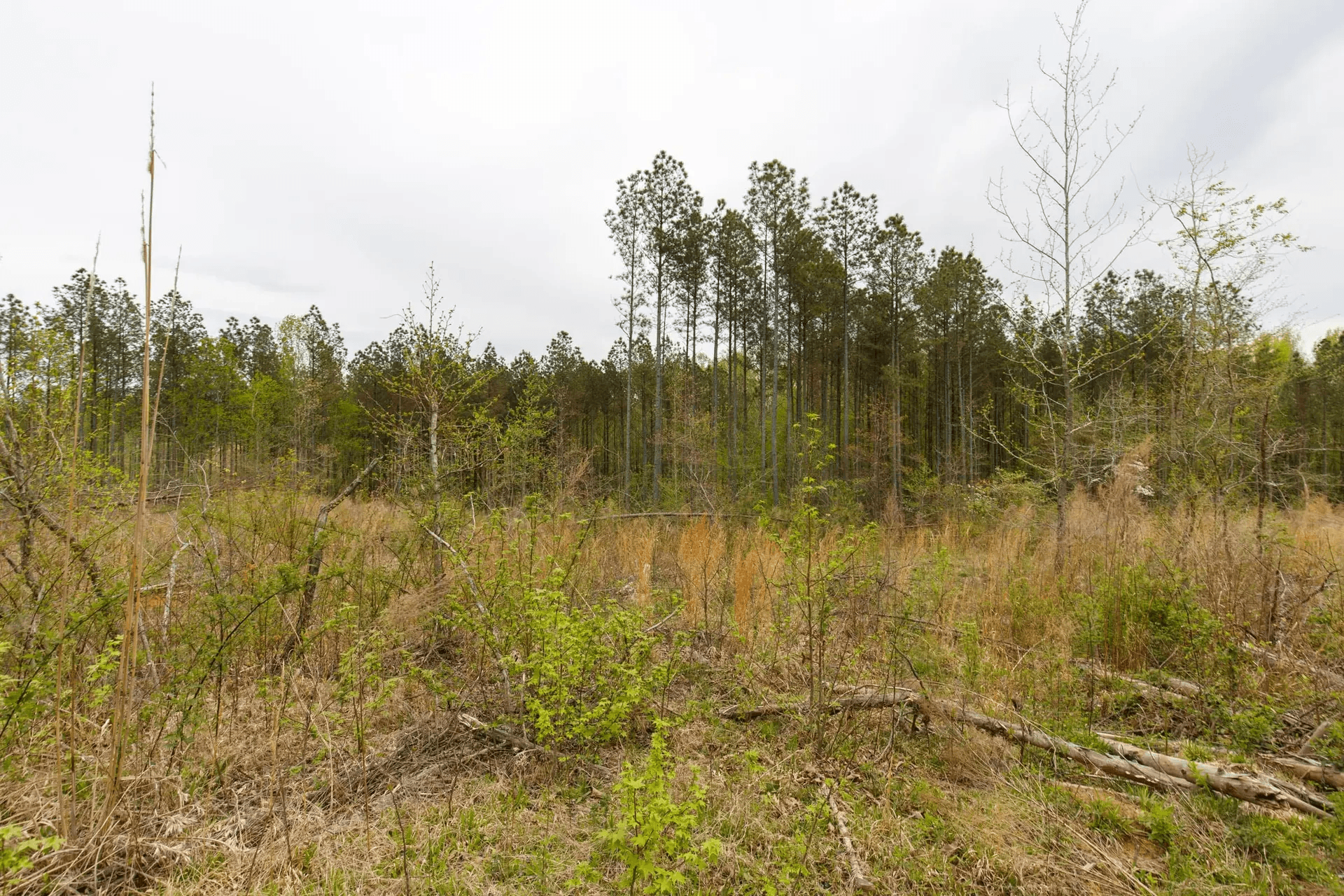 Twin Rivers — Zero Credit Land owner financed land for sale in Henderson County, Tennessee
