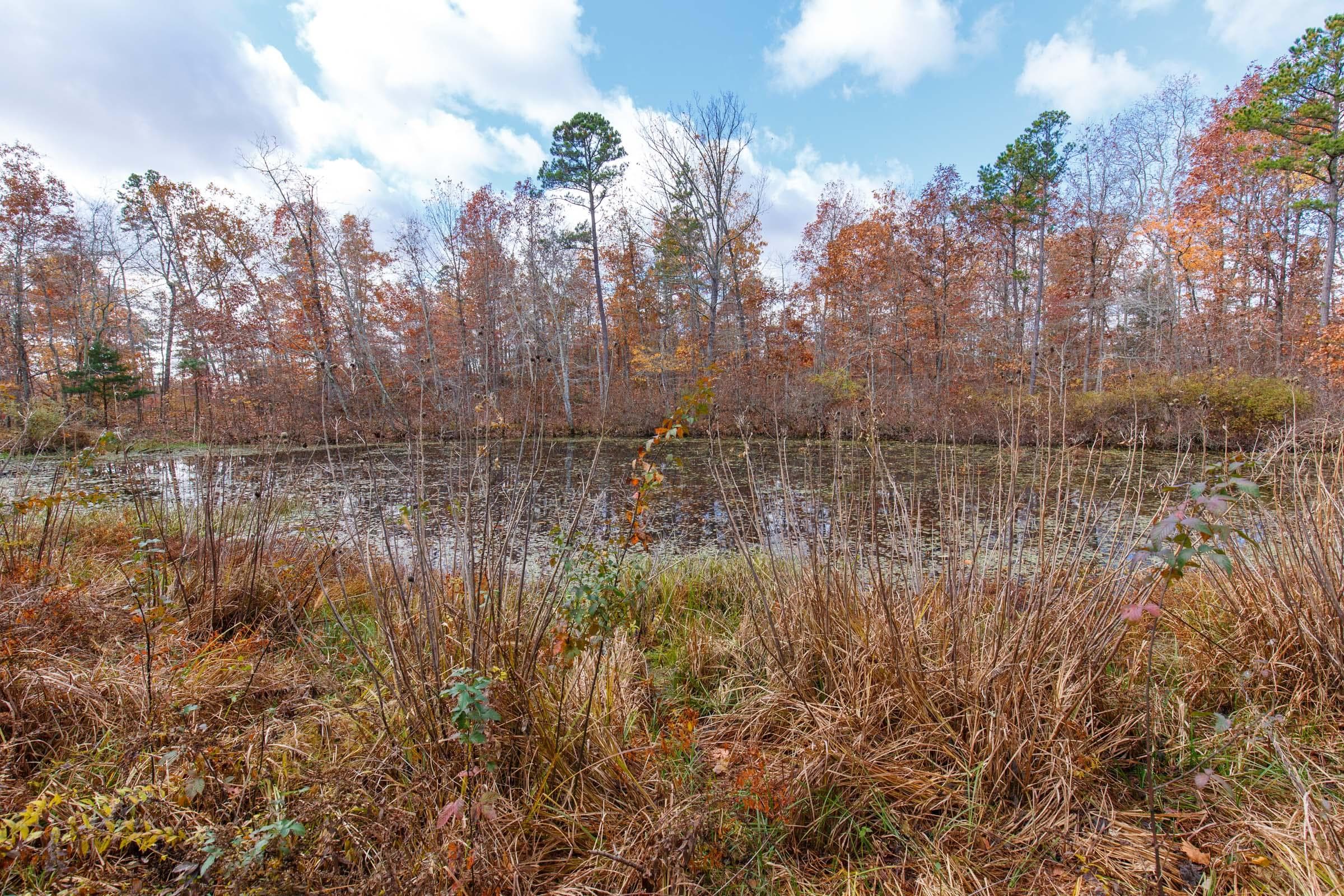 Hawk Crest — Zero Credit Land owner financed land for sale in Reynolds County, Missouri photo 4