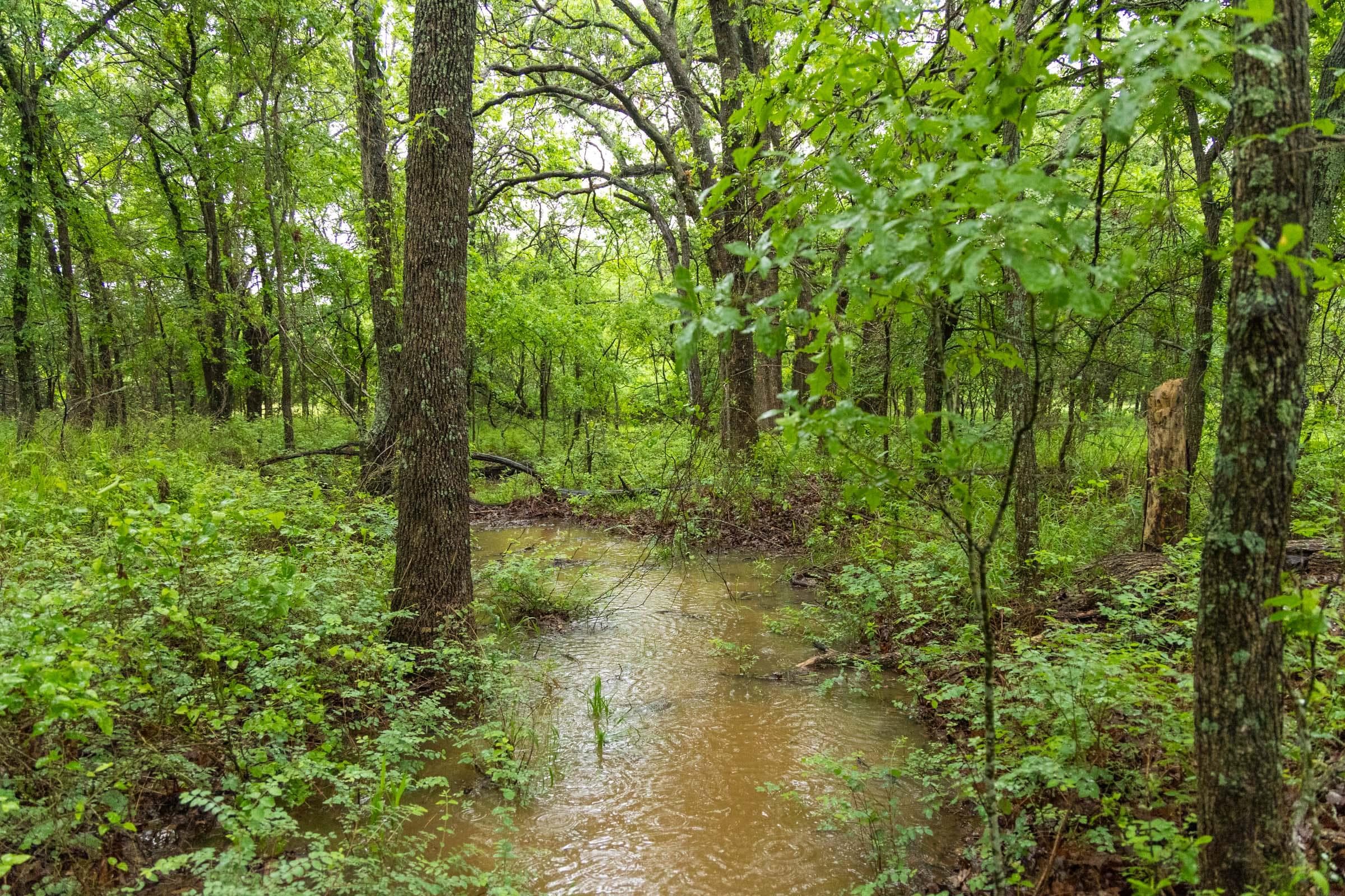 Harmony Hills — Zero Credit Land owner financed land for sale in Pittsburg County, Oklahoma photo 148