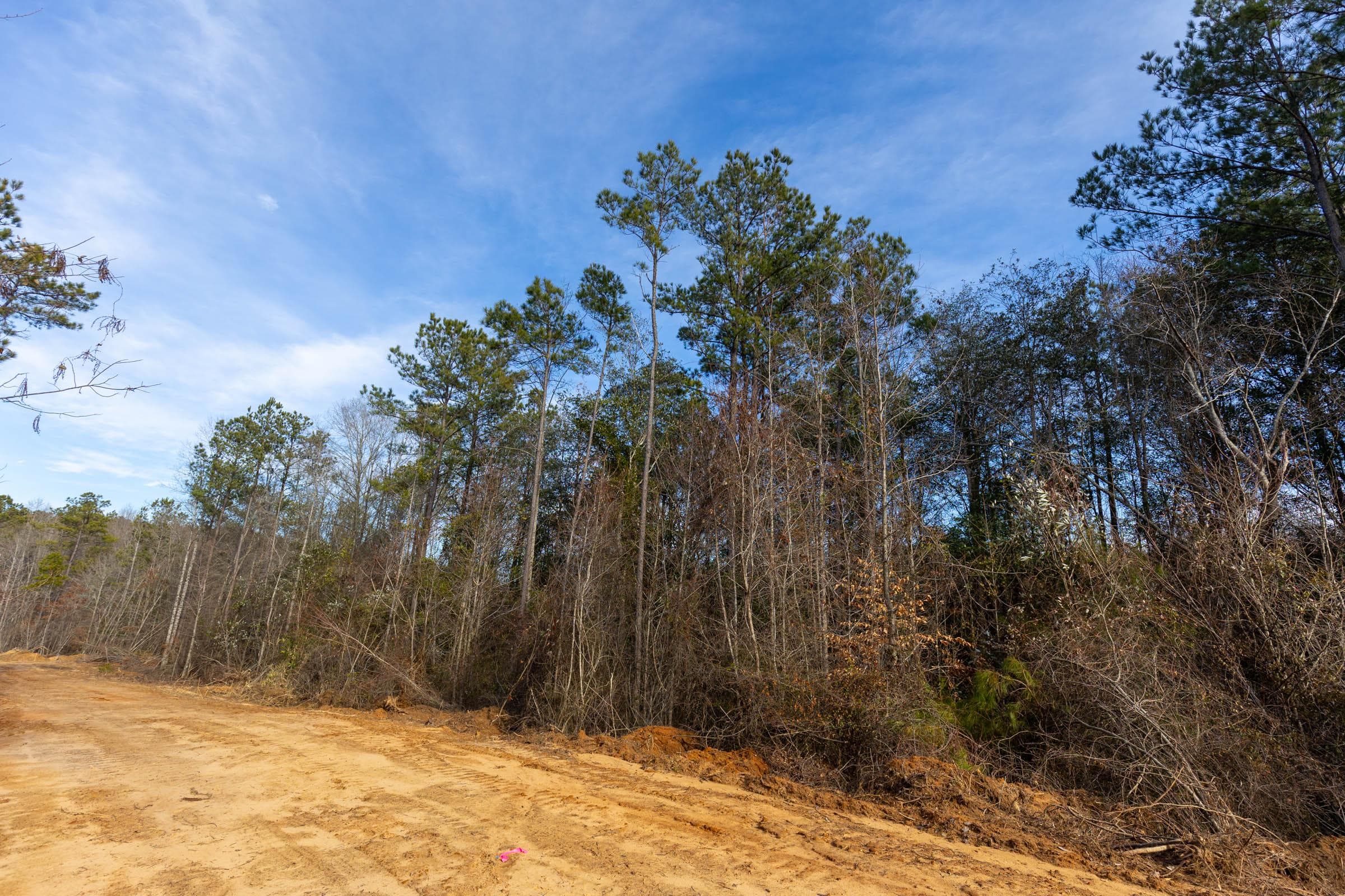 Baker Creek — Zero Credit Land owner financed land for sale in Fayette County, Alabama photo 7