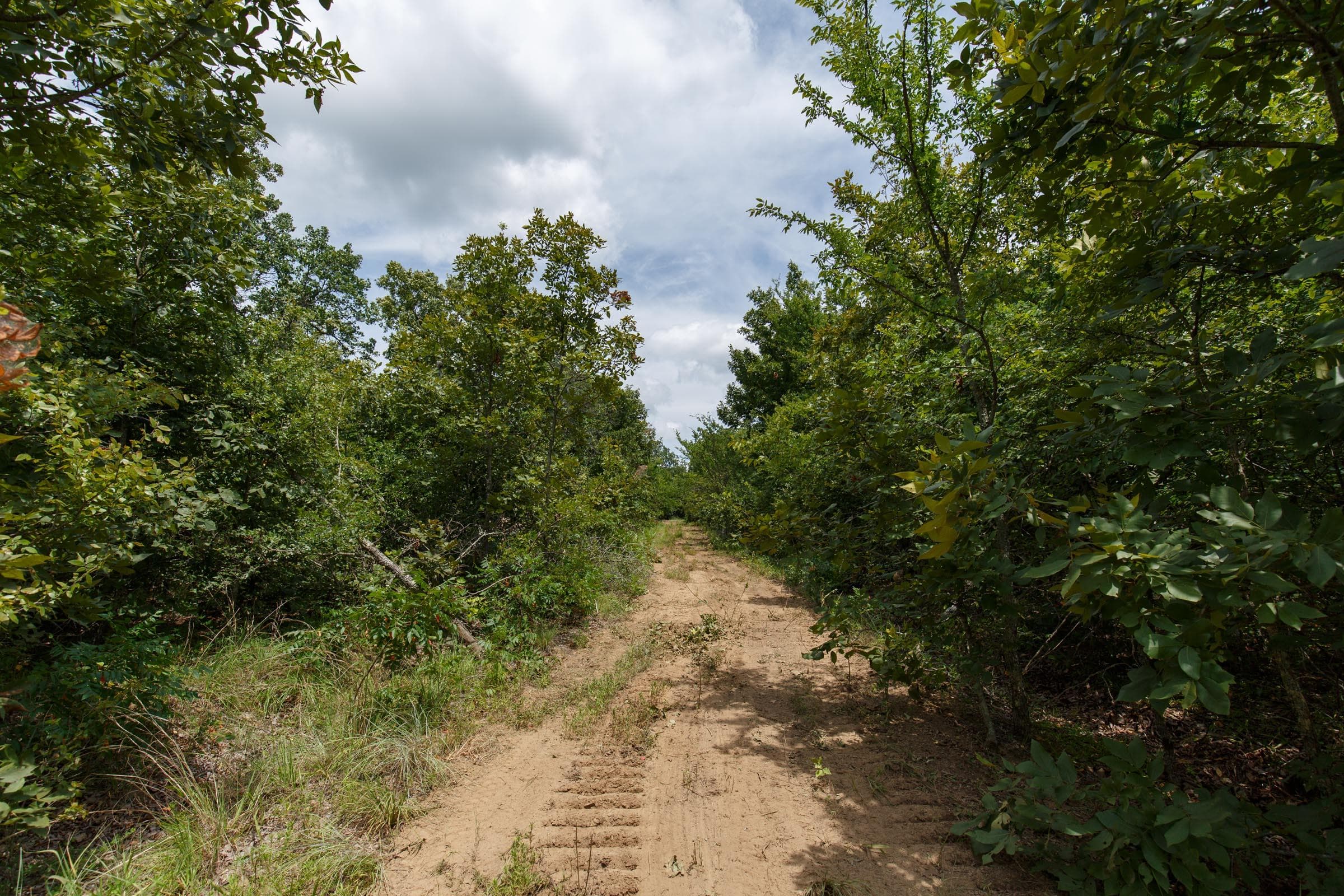Timber Ridge — Zero Credit Land owner financed land for sale in McIntosh County, Oklahoma photo 19