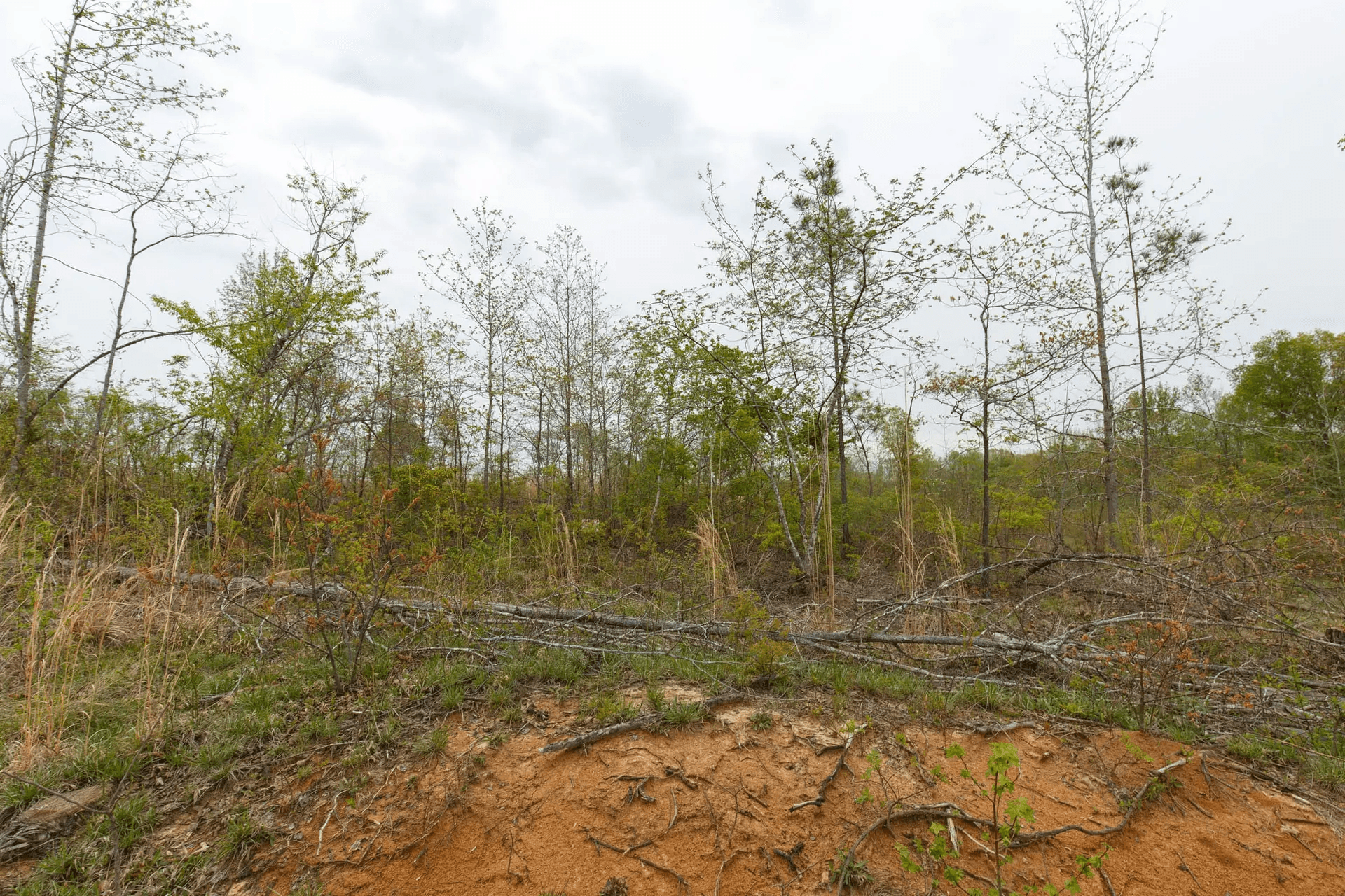 Twin Rivers — Zero Credit Land owner financed land for sale in Henderson County, Tennessee photo 4