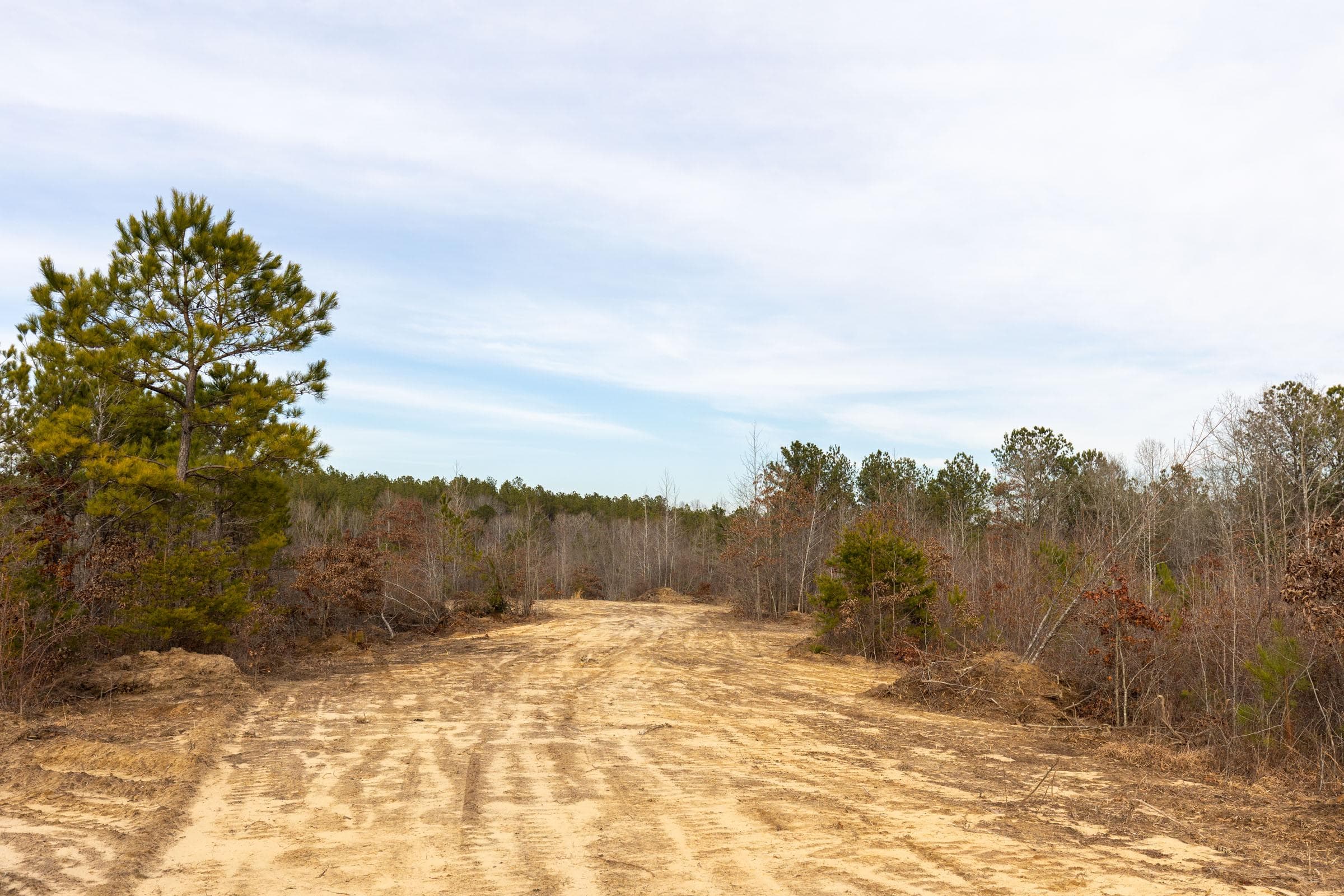 Baker Creek — Zero Credit Land owner financed land for sale in Fayette County, Alabama photo 5