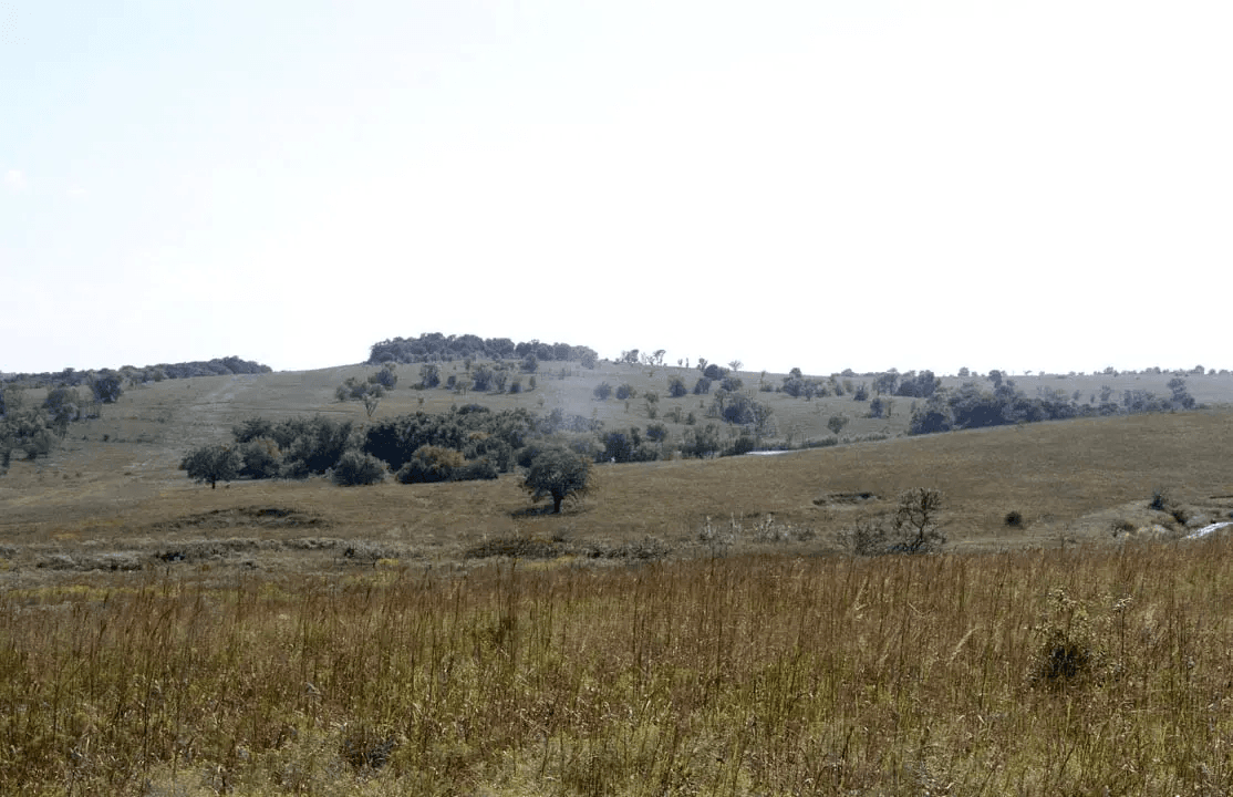Cowboy Meadows — Zero Credit Land owner financed land for sale in Chautauqua County, Kansas photo 6