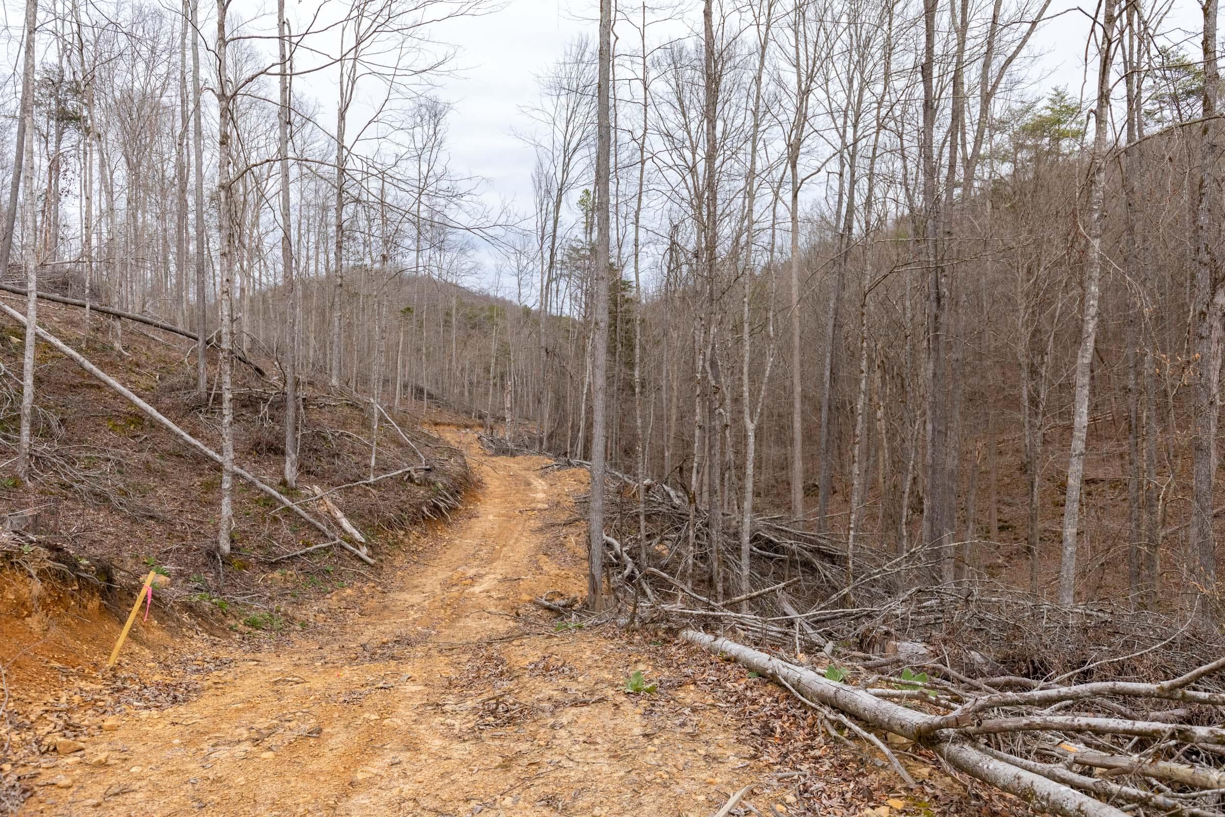 Creek Hollow Phase 1 — Zero Credit Land owner financed land for sale in Rockcastle County, Kentucky photo 33