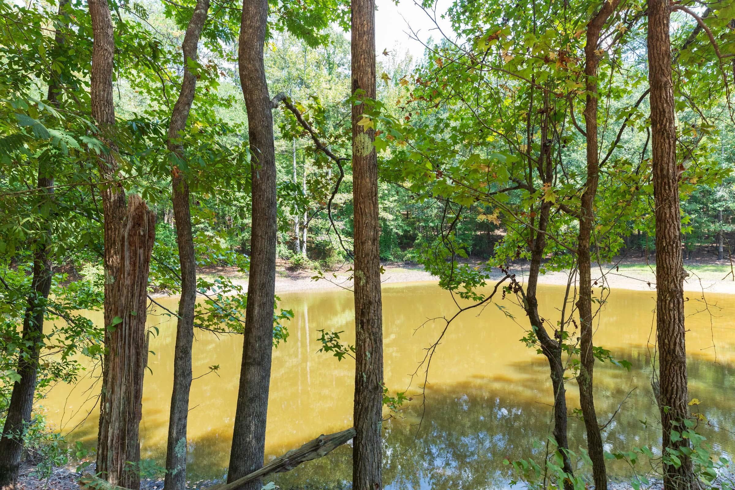Willow Grove — Zero Credit Land owner financed land for sale in Lamar County, Alabama photo 36