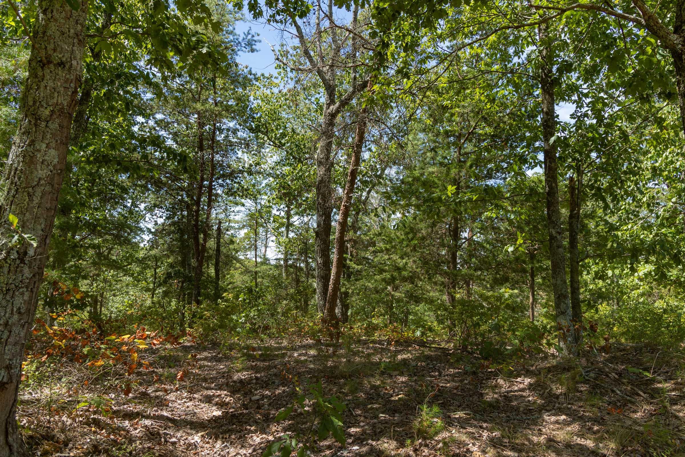 Property photo 271