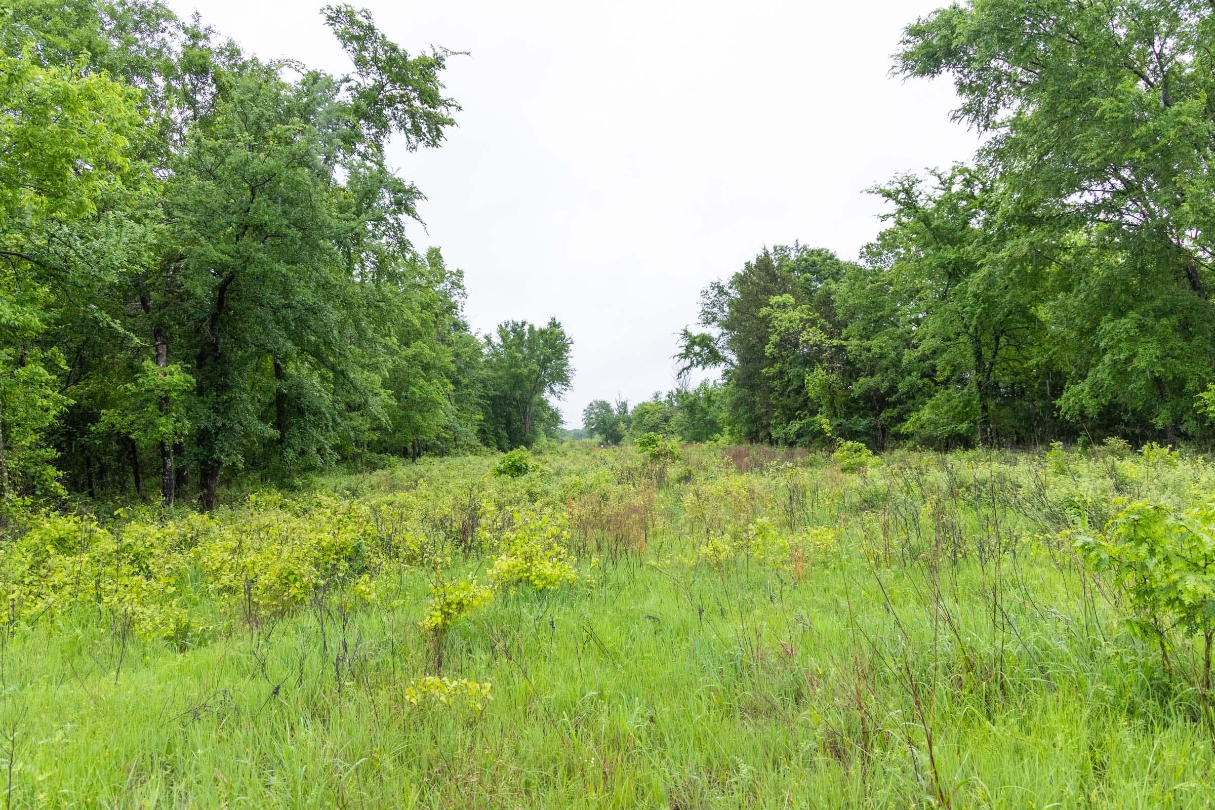 Harmony Hills — Zero Credit Land owner financed land for sale in Pittsburg County, Oklahoma photo 143