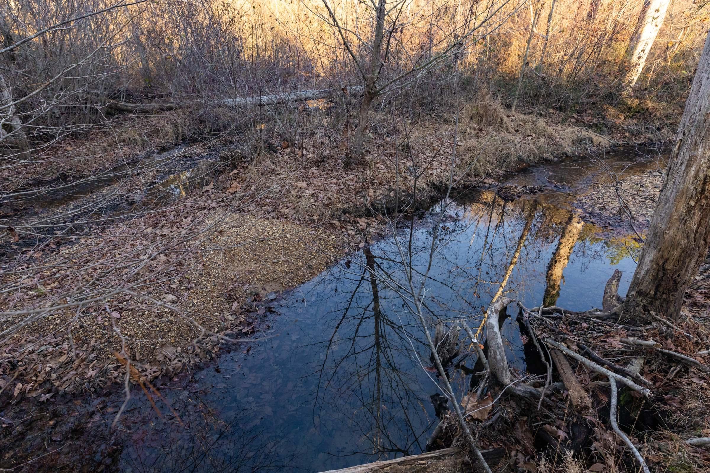 Lighting Ridge — Zero Credit Land owner financed land for sale in Colbert County, Alabama photo 32