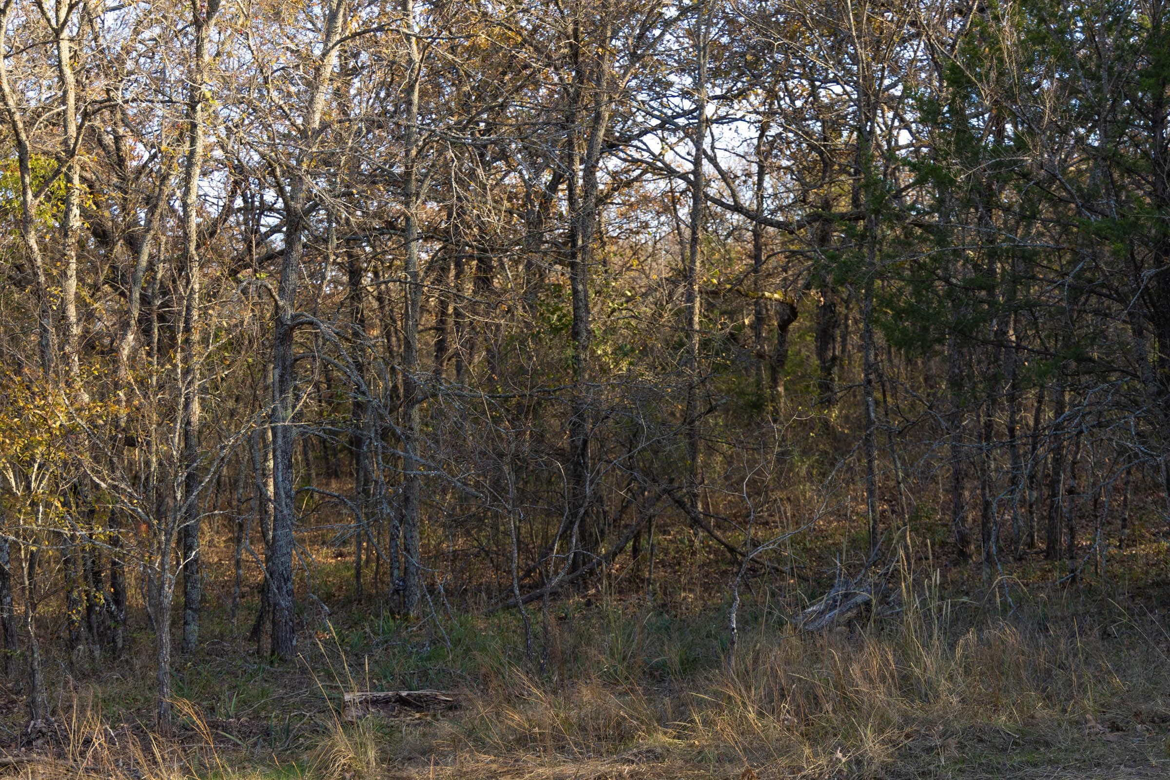 Harmony Hills — Zero Credit Land owner financed land for sale in Pittsburg County, Oklahoma photo 124