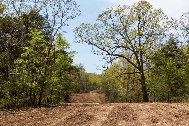  Autumnwood — Zero Credit Land owner financed land for sale in Fulton County, Arkansas photo 3