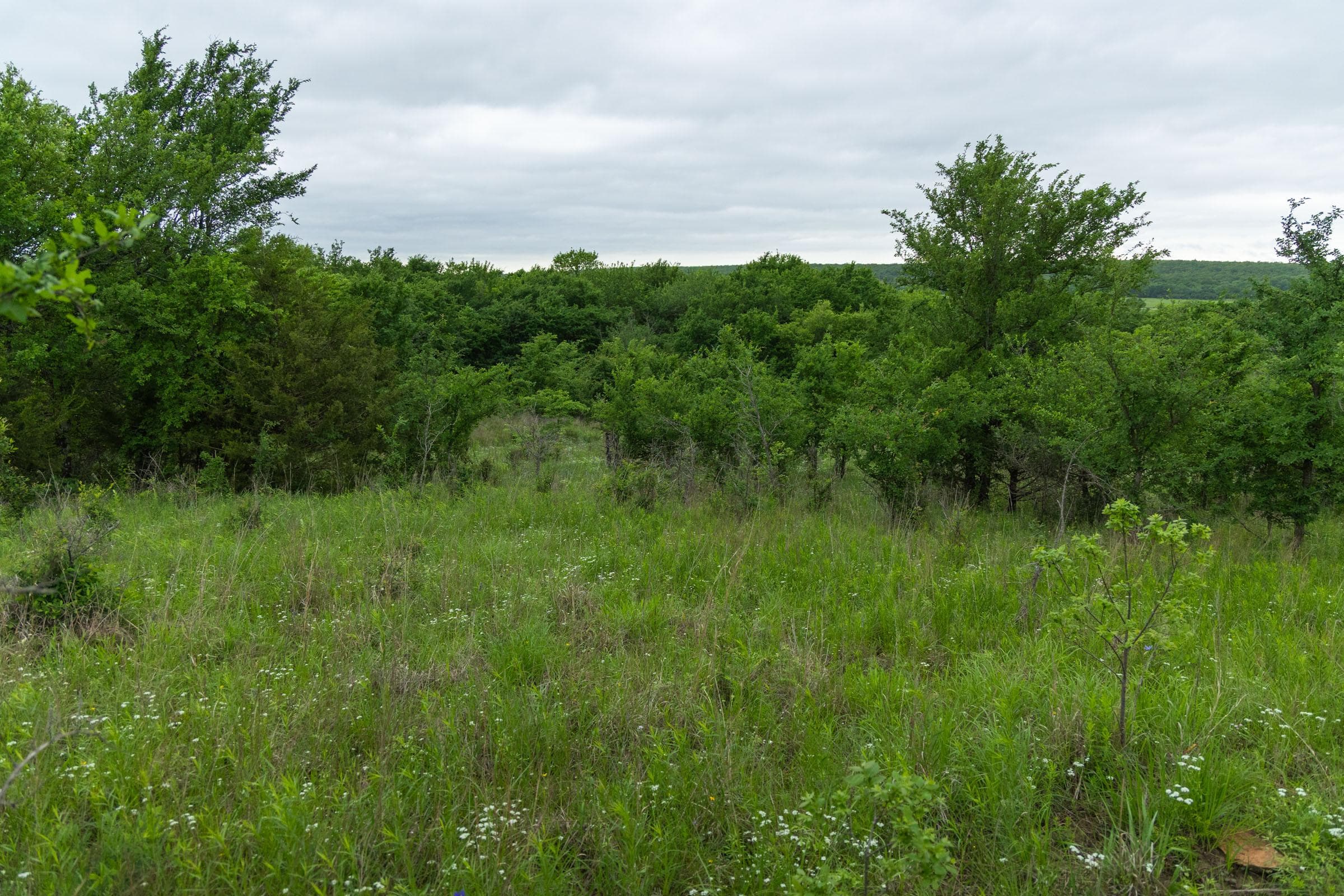 Harmony Hills — Zero Credit Land owner financed land for sale in Pittsburg County, Oklahoma photo 178