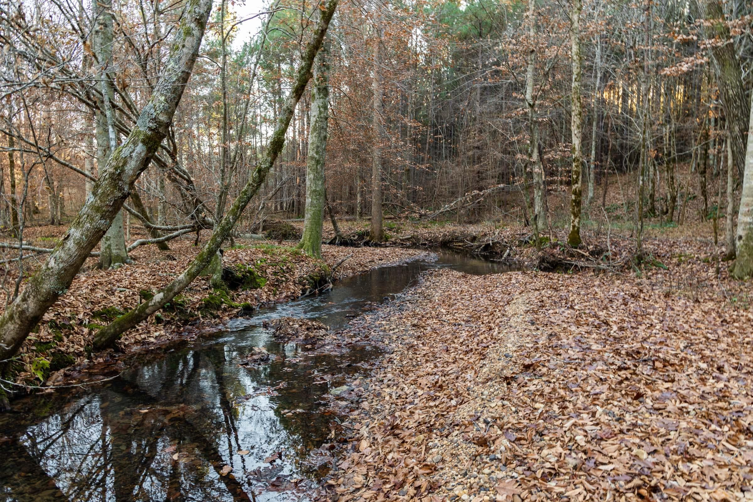 Lighting Ridge — Zero Credit Land owner financed land for sale in Colbert County, Alabama photo 50