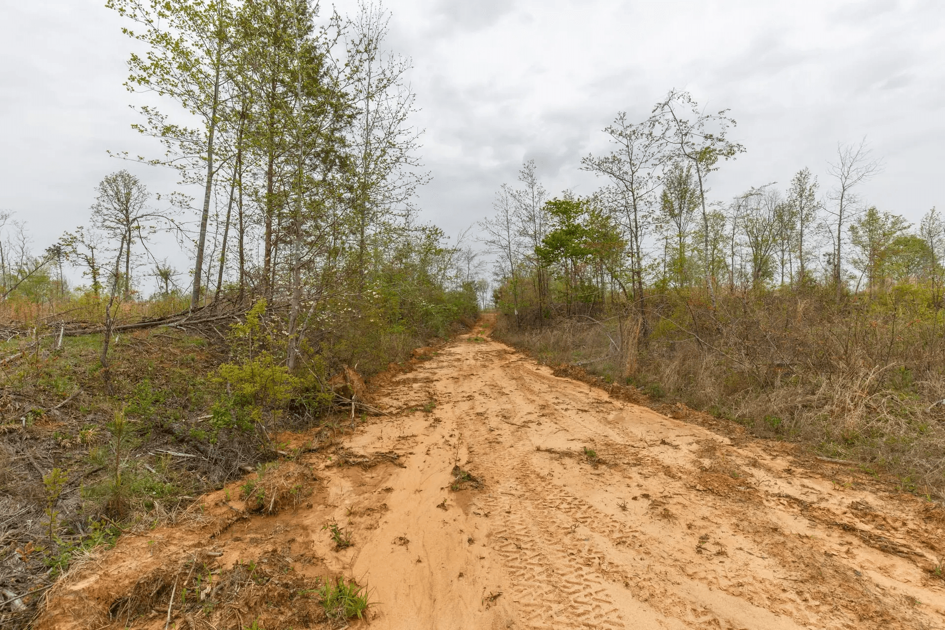Twin Rivers — Zero Credit Land owner financed land for sale in Henderson County, Tennessee photo 3