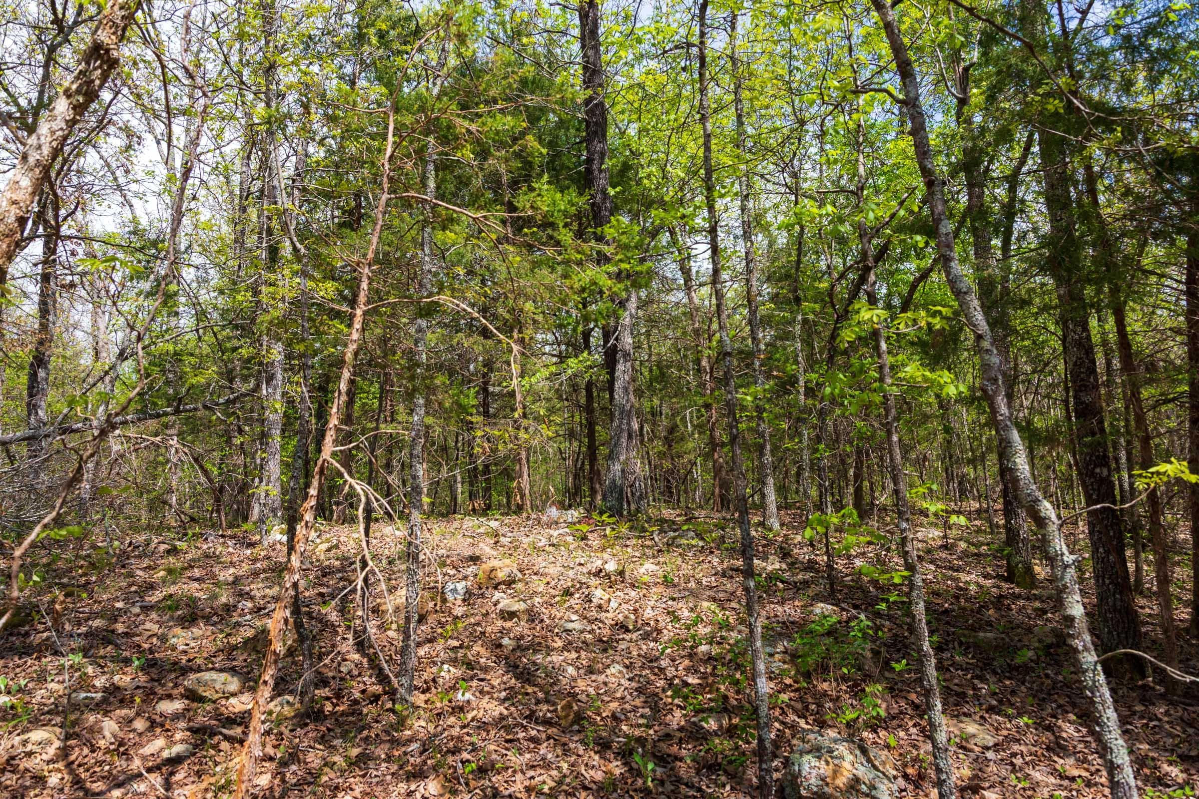 Autumnwood — Zero Credit Land owner financed land for sale in Fulton County, Arkansas photo 9