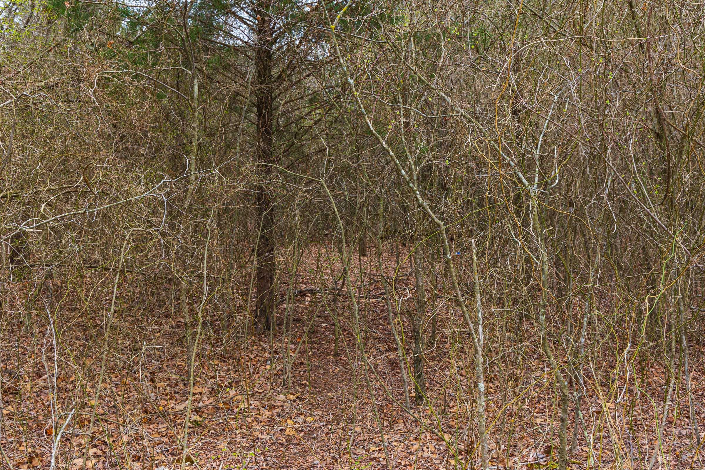 Reserves At Cattail Cove Phase I — Zero Credit Land owner financed land for sale in Pittsburg County, Oklahoma photo 19
