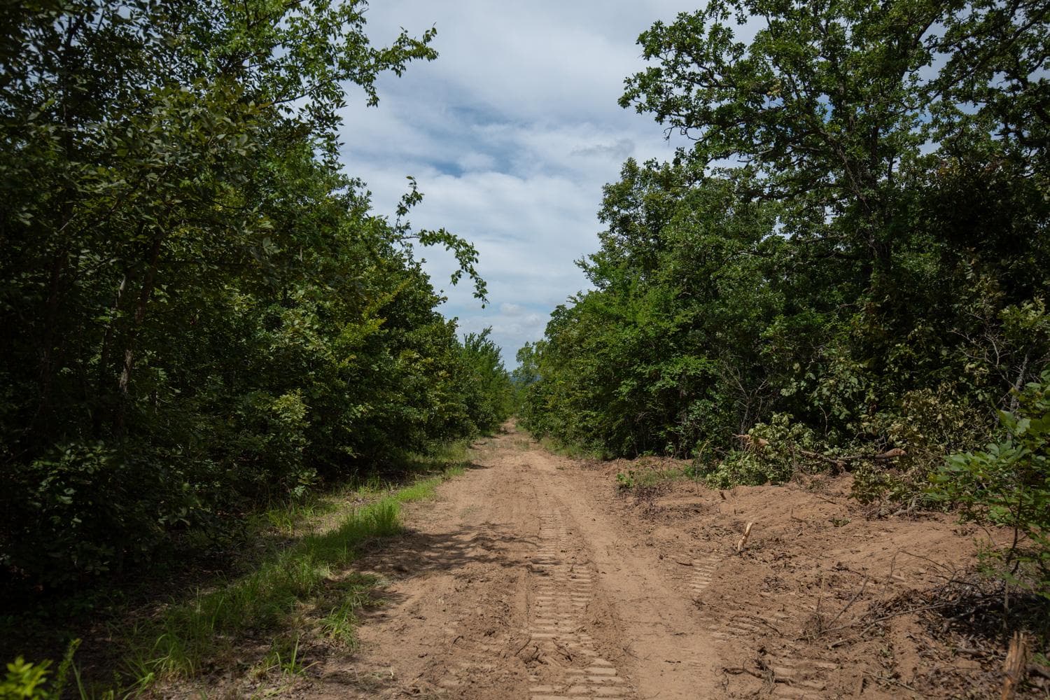 Timber Ridge — Zero Credit Land owner financed land for sale in McIntosh County, Oklahoma photo 4