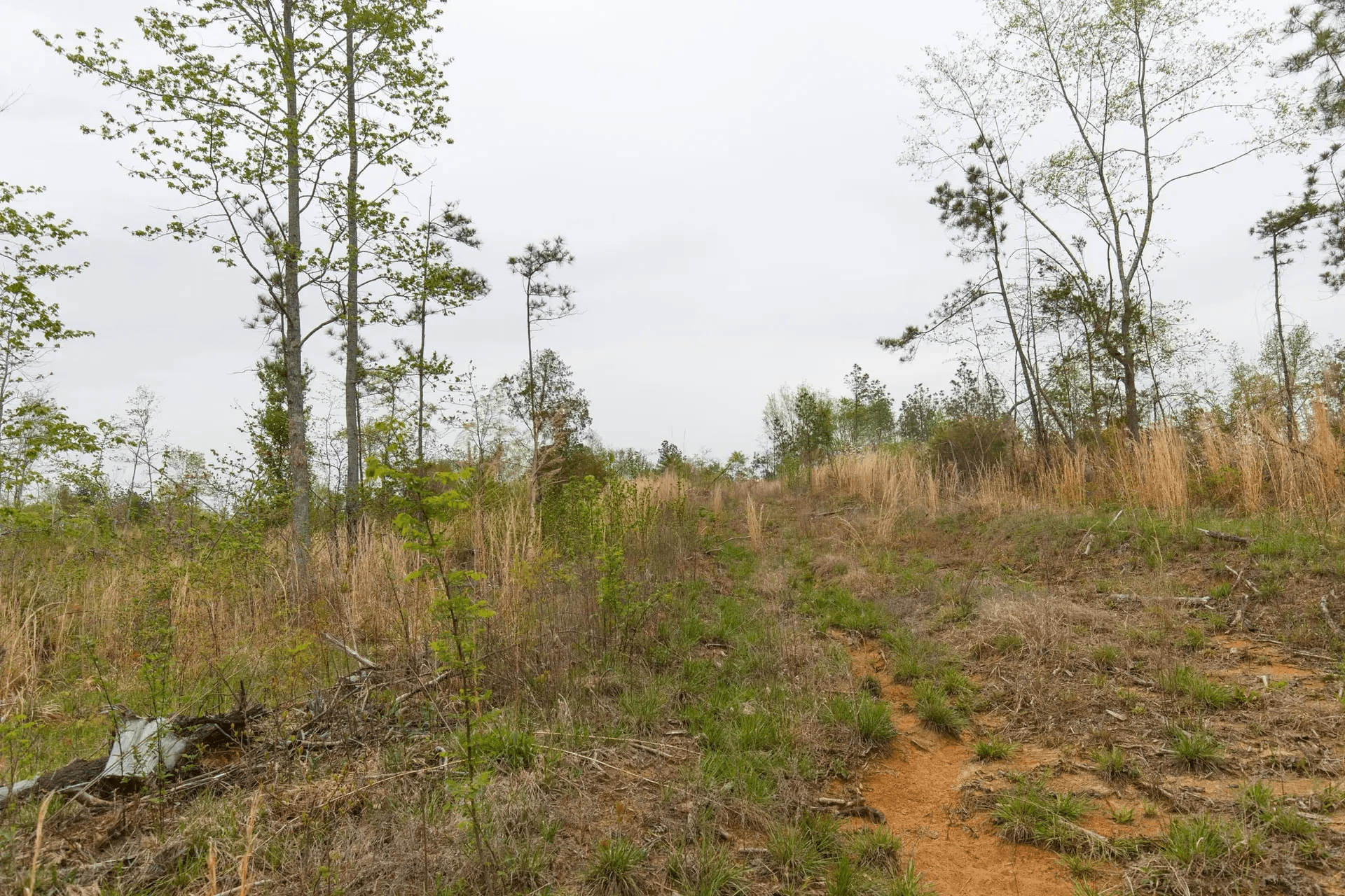 Twin Rivers — Zero Credit Land owner financed land for sale in Henderson County, Tennessee photo 11