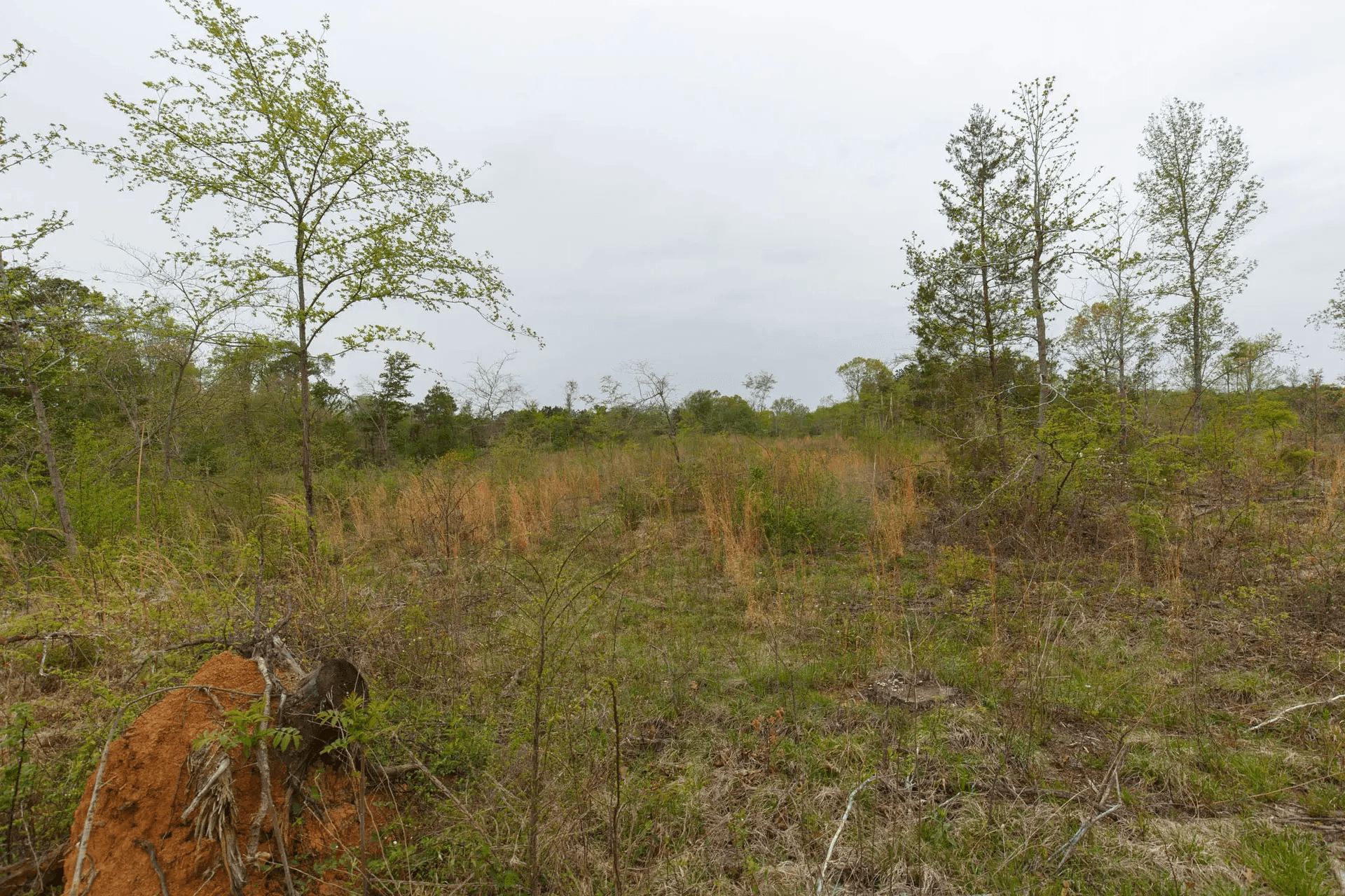 Twin Rivers — Zero Credit Land owner financed land for sale in Henderson County, Tennessee photo 2