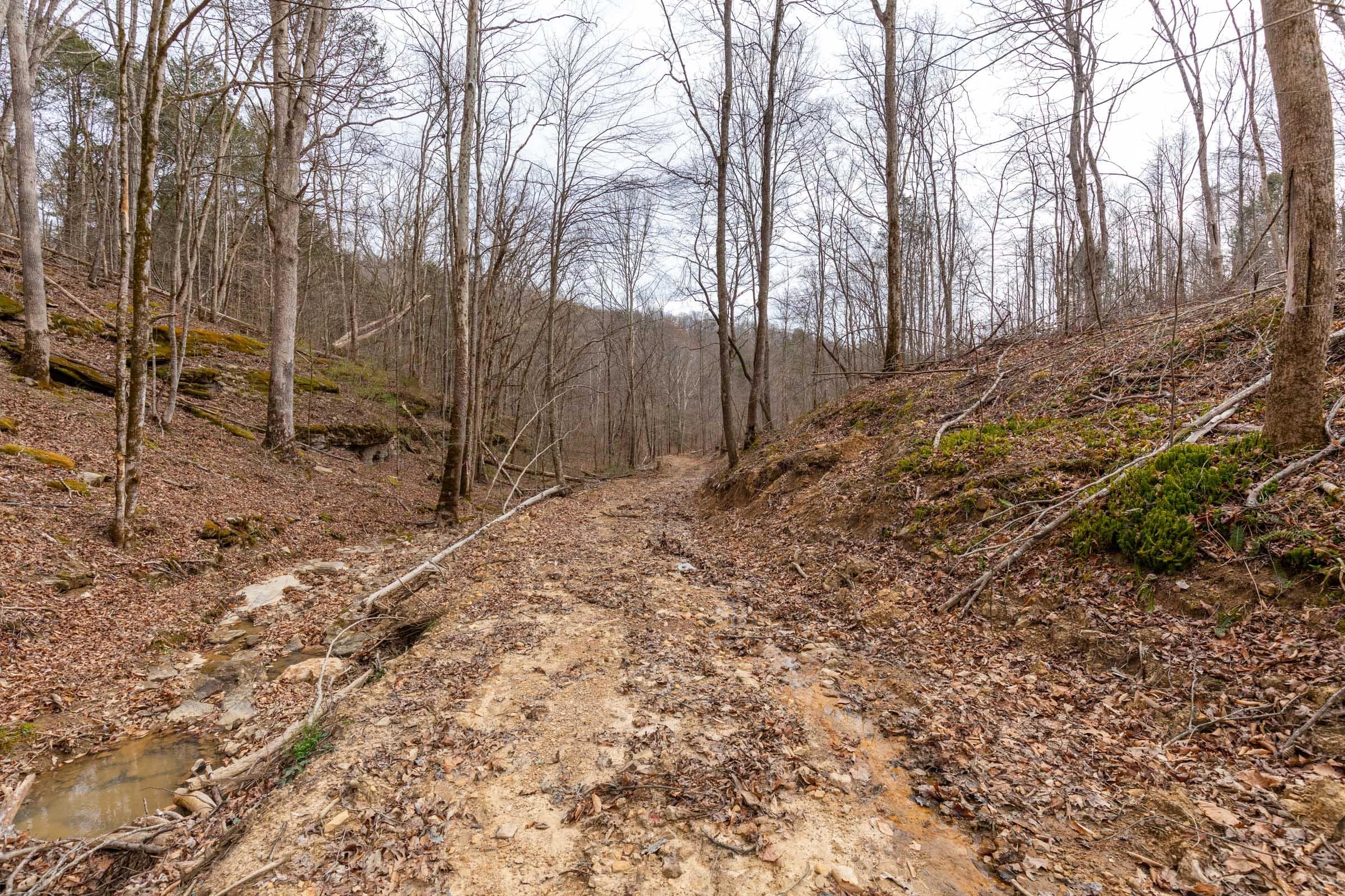 Creek Hollow Phase 1 — Zero Credit Land owner financed land for sale in Rockcastle County, Kentucky photo 38