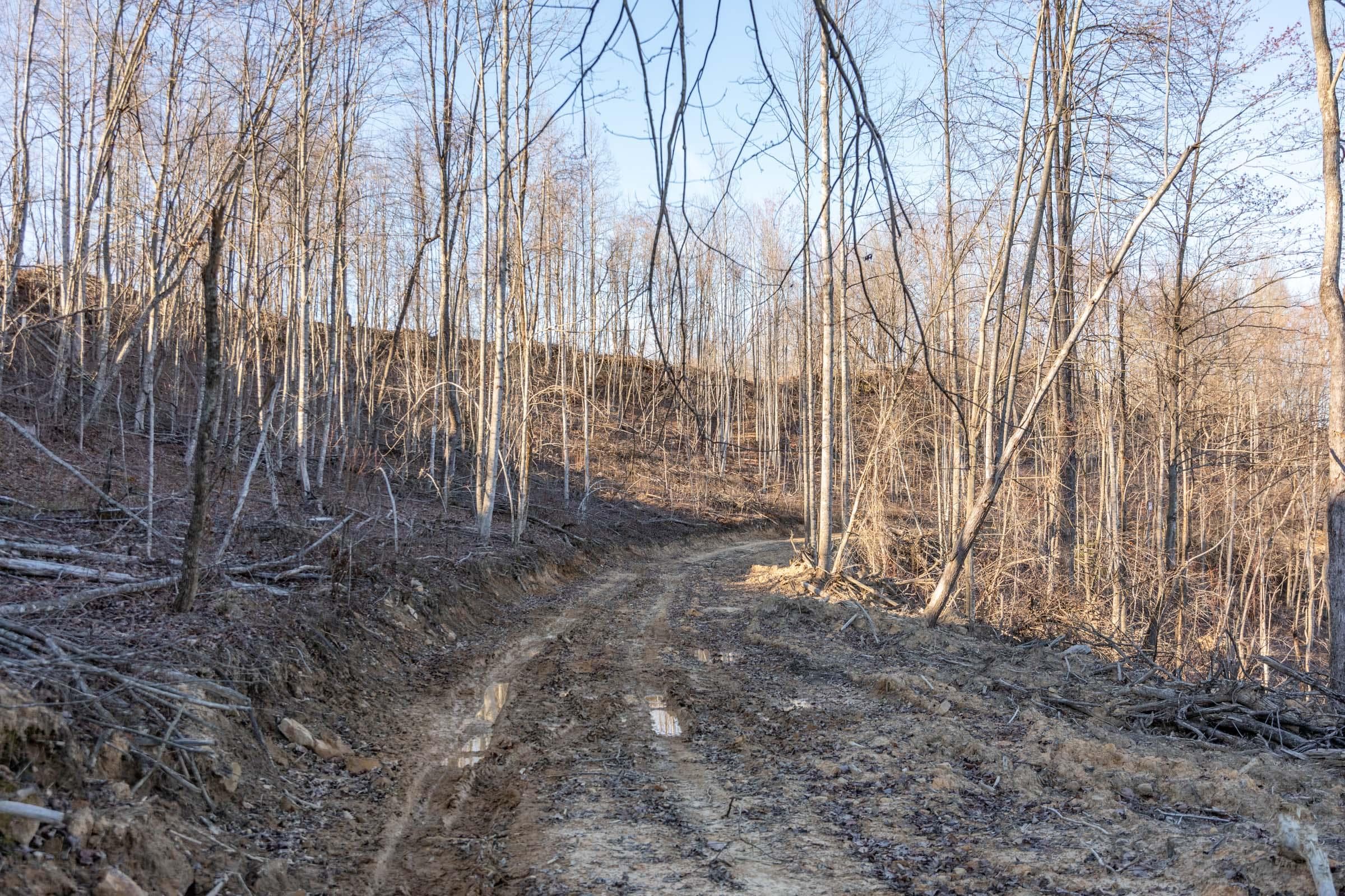 Creek Hollow Phase 1 — Zero Credit Land owner financed land for sale in Rockcastle County, Kentucky photo 42