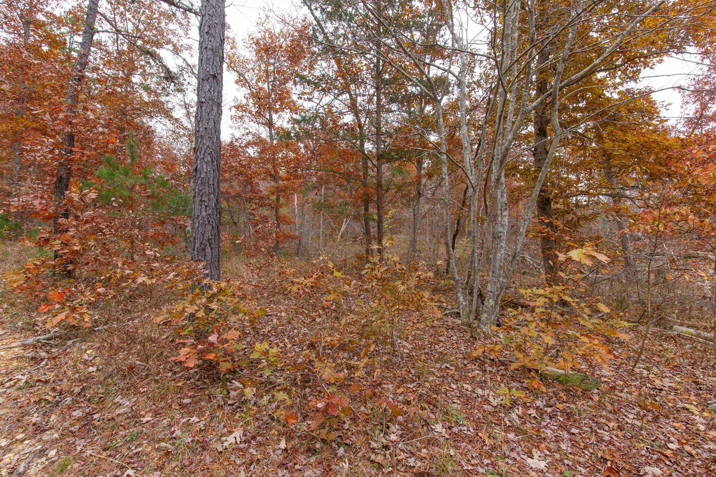 Hawk Crest — Zero Credit Land owner financed land for sale in Reynolds County, Missouri photo 4
