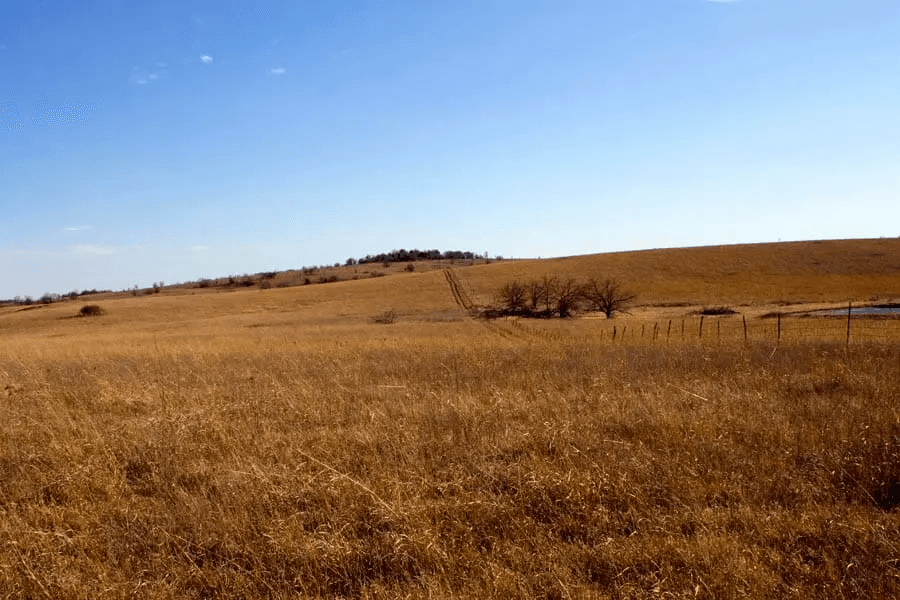 Cowboy Meadows — Zero Credit Land owner financed land for sale in Chautauqua County, Kansas photo 15