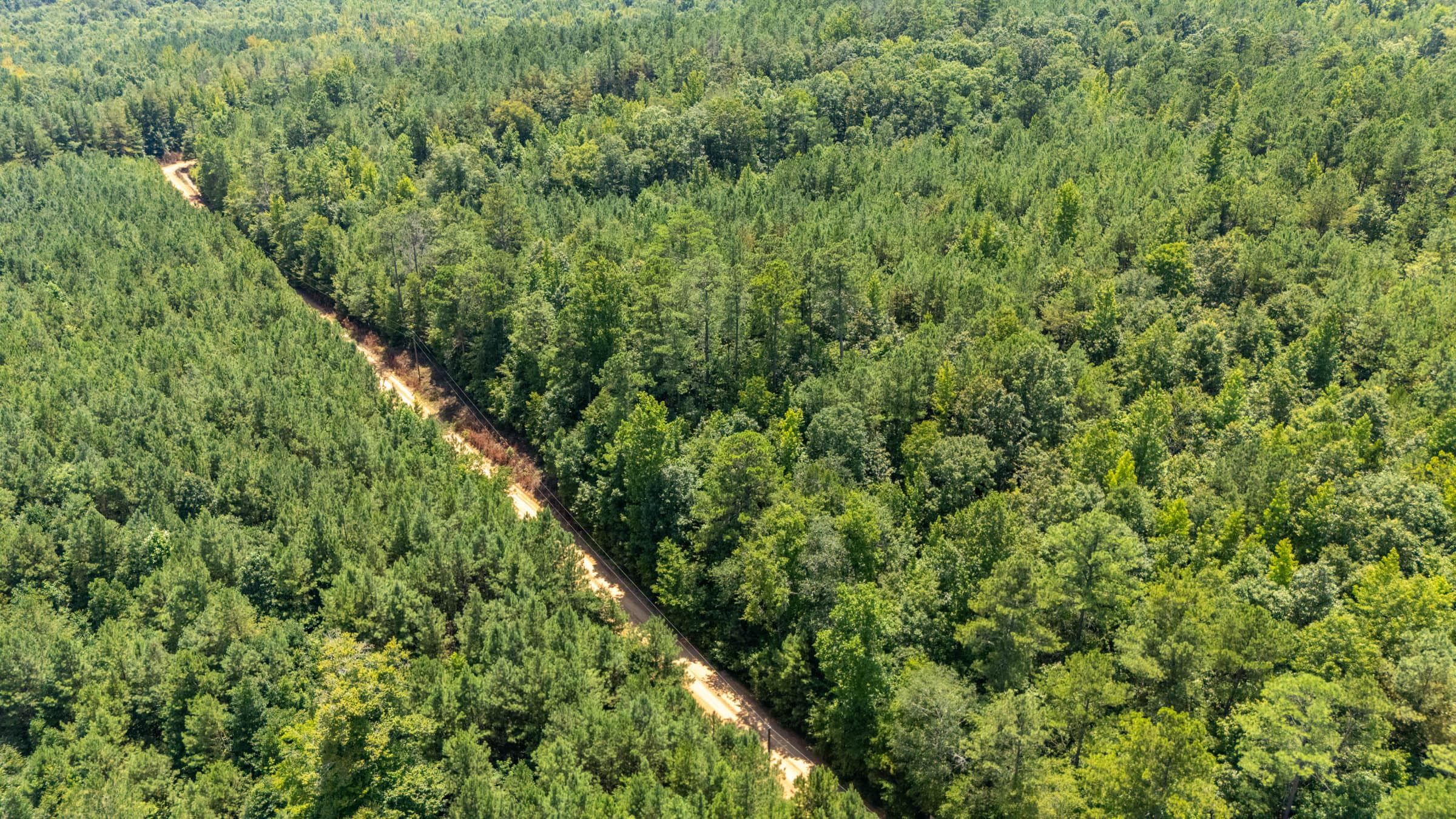 Olive Hill — Zero Credit Land owner financed land for sale in Lamar County, Alabama photo 12