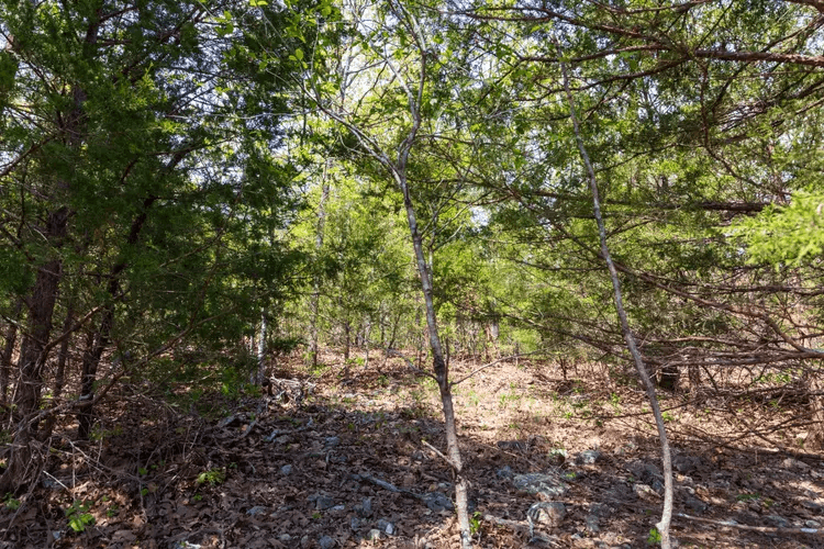  Autumnwood — Zero Credit Land owner financed land for sale in Fulton County, Arkansas photo 5