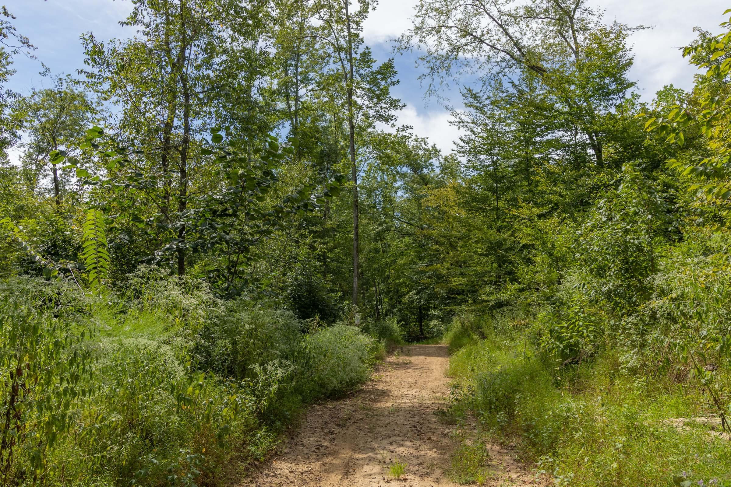 Property photo 270