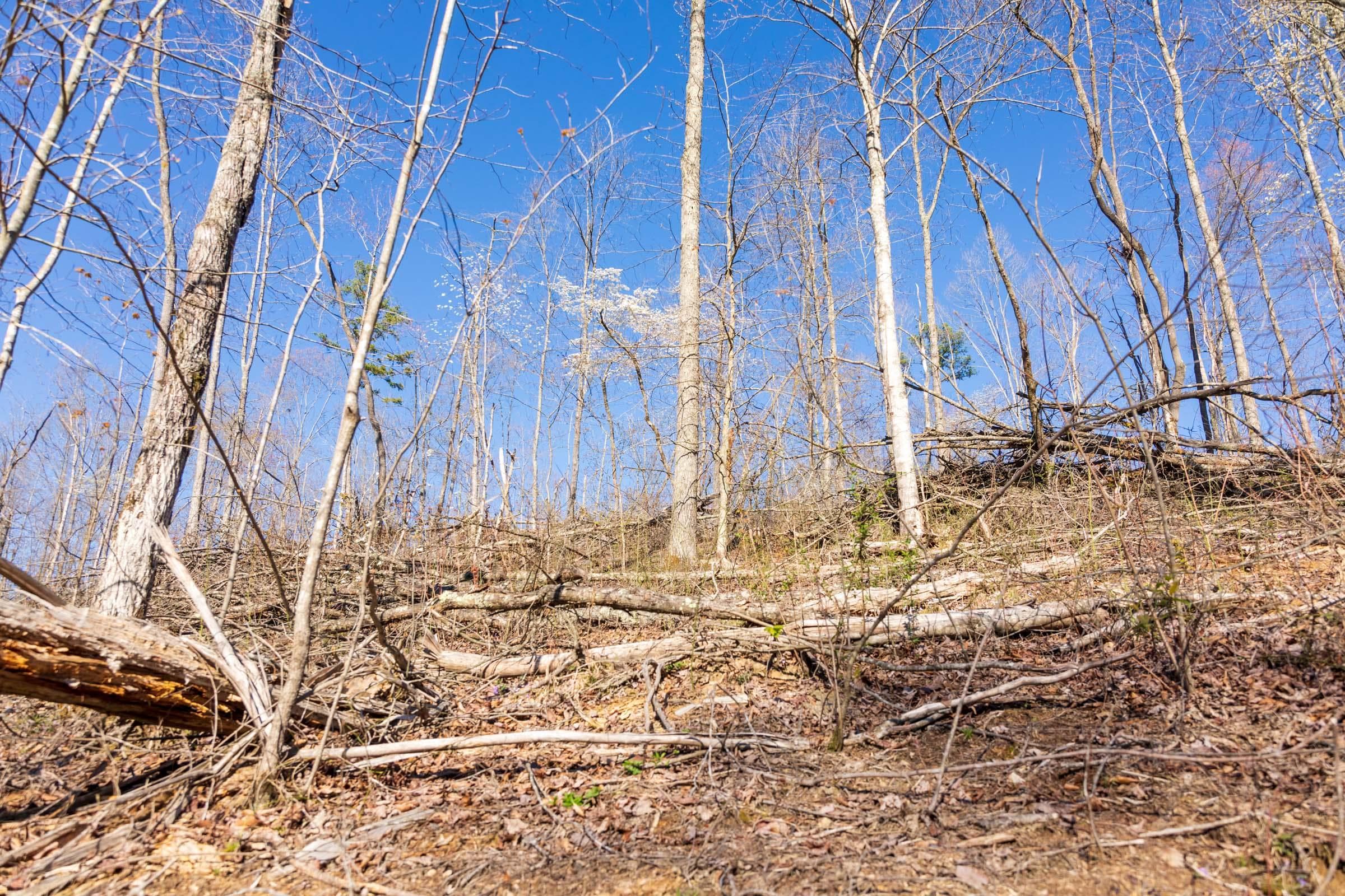 Creek Hollow Phase 1 — Zero Credit Land owner financed land for sale in Rockcastle County, Kentucky photo 51