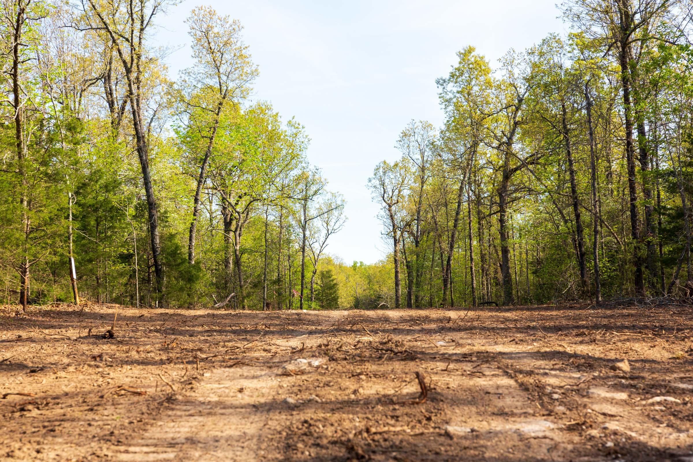  Autumnwood — Zero Credit Land owner financed land for sale in Fulton County, Arkansas photo 19