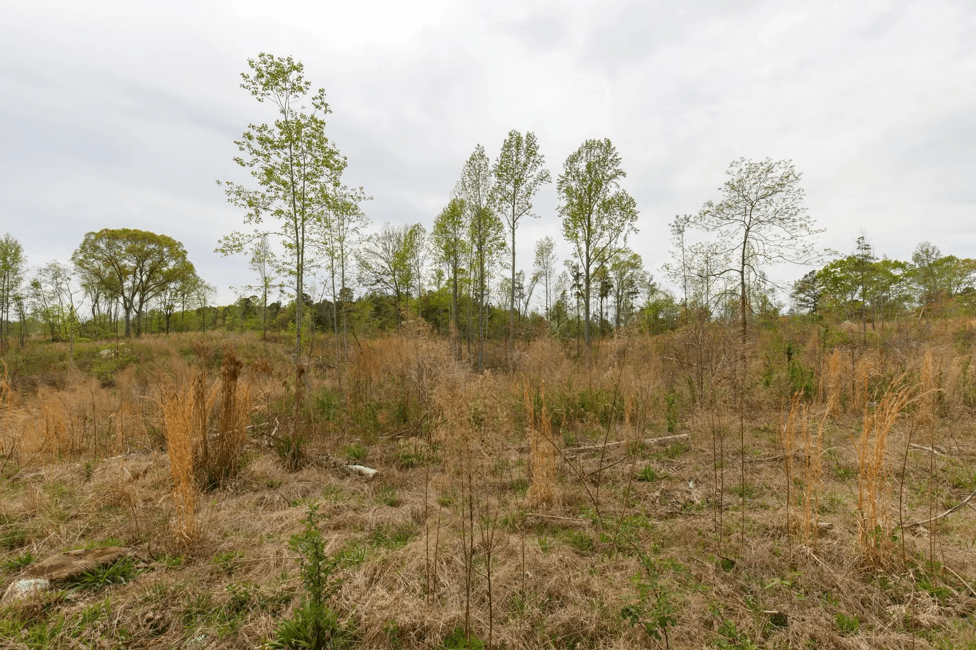 Twin Rivers — Zero Credit Land owner financed land for sale in Henderson County, Tennessee photo 2