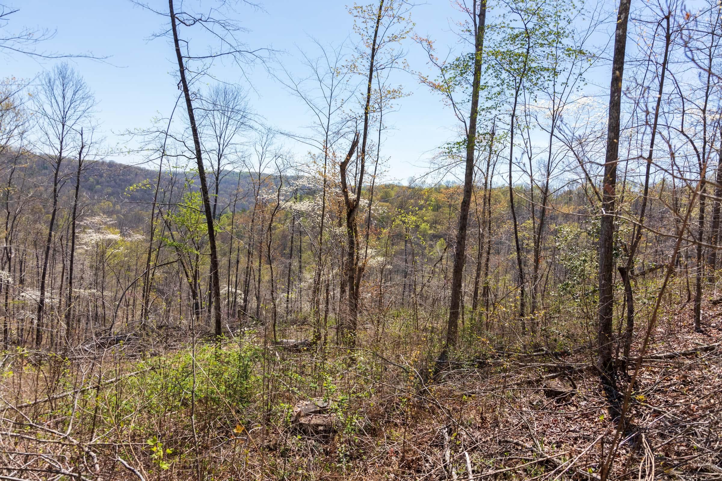 Creek Hollow Phase 1 — Zero Credit Land owner financed land for sale in Rockcastle County, Kentucky photo 54