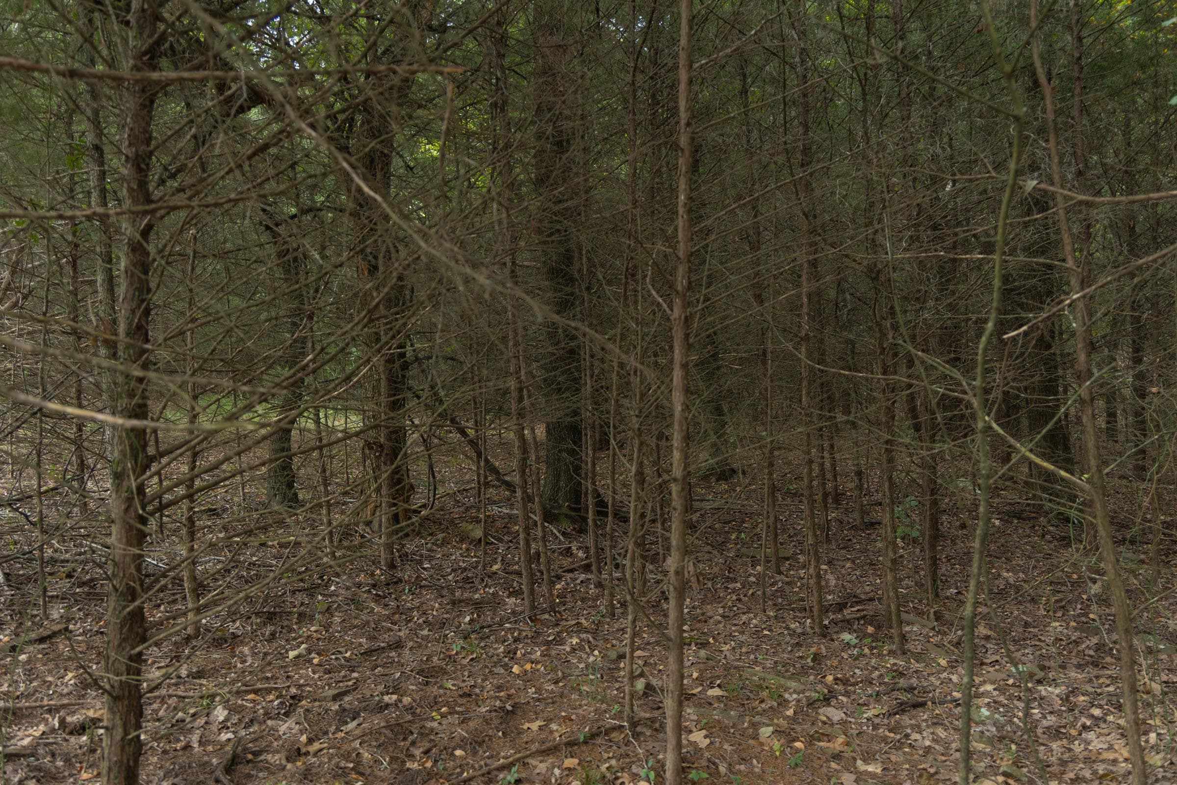  Reserves At Cattail Cove Phase II — Zero Credit Land owner financed land for sale in Pittsburg County, Oklahoma photo 80