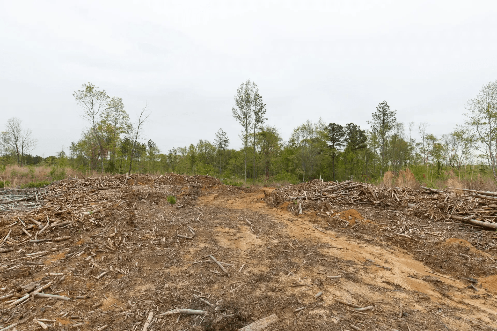 Twin Rivers — Zero Credit Land owner financed land for sale in Henderson County, Tennessee photo 8