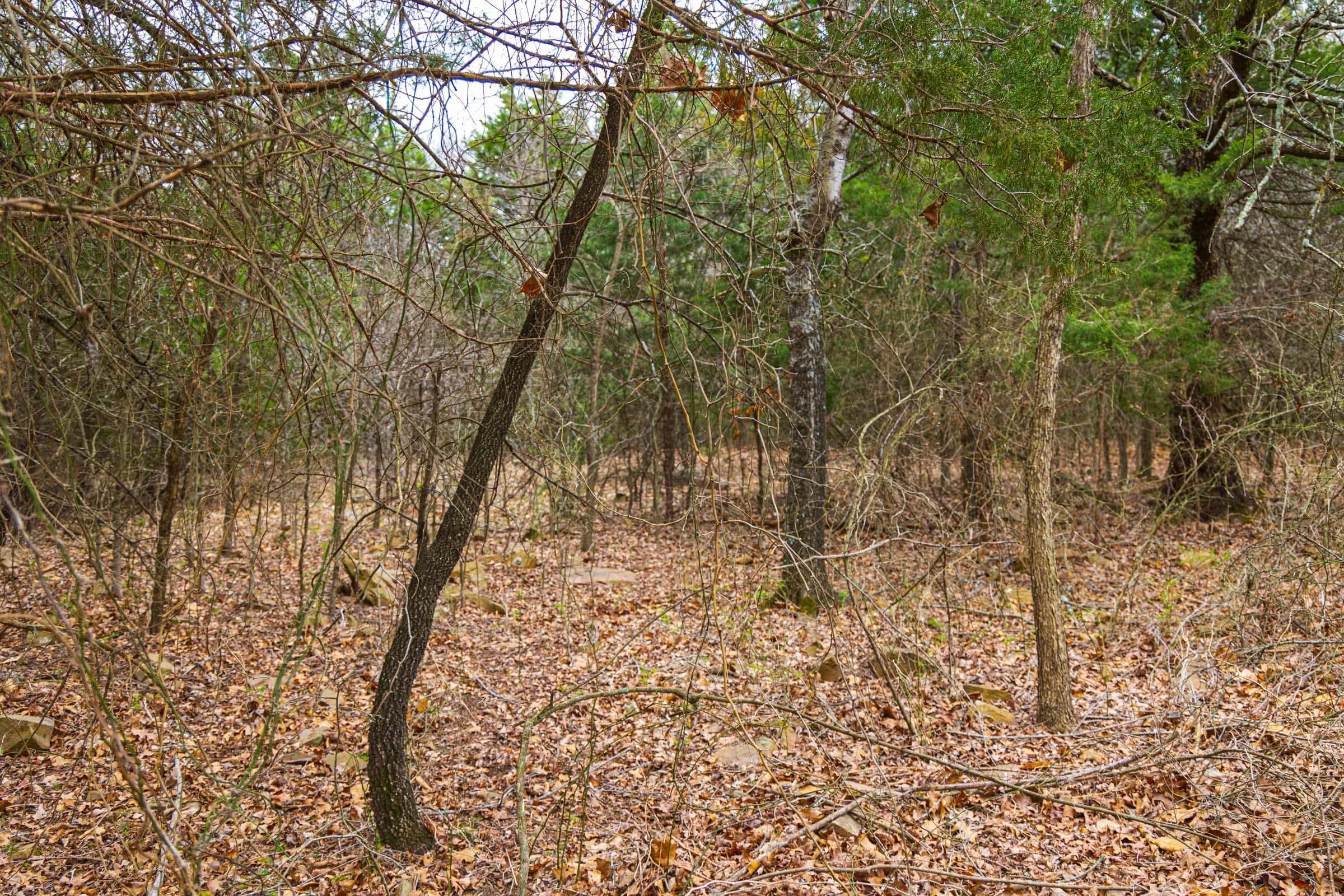 Reserves At Cattail Cove Phase I — Zero Credit Land owner financed land for sale in Pittsburg County, Oklahoma photo 17