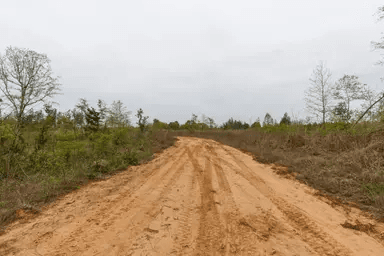 Twin Rivers — Zero Credit Land owner financed land for sale in Henderson County, Tennessee photo 2