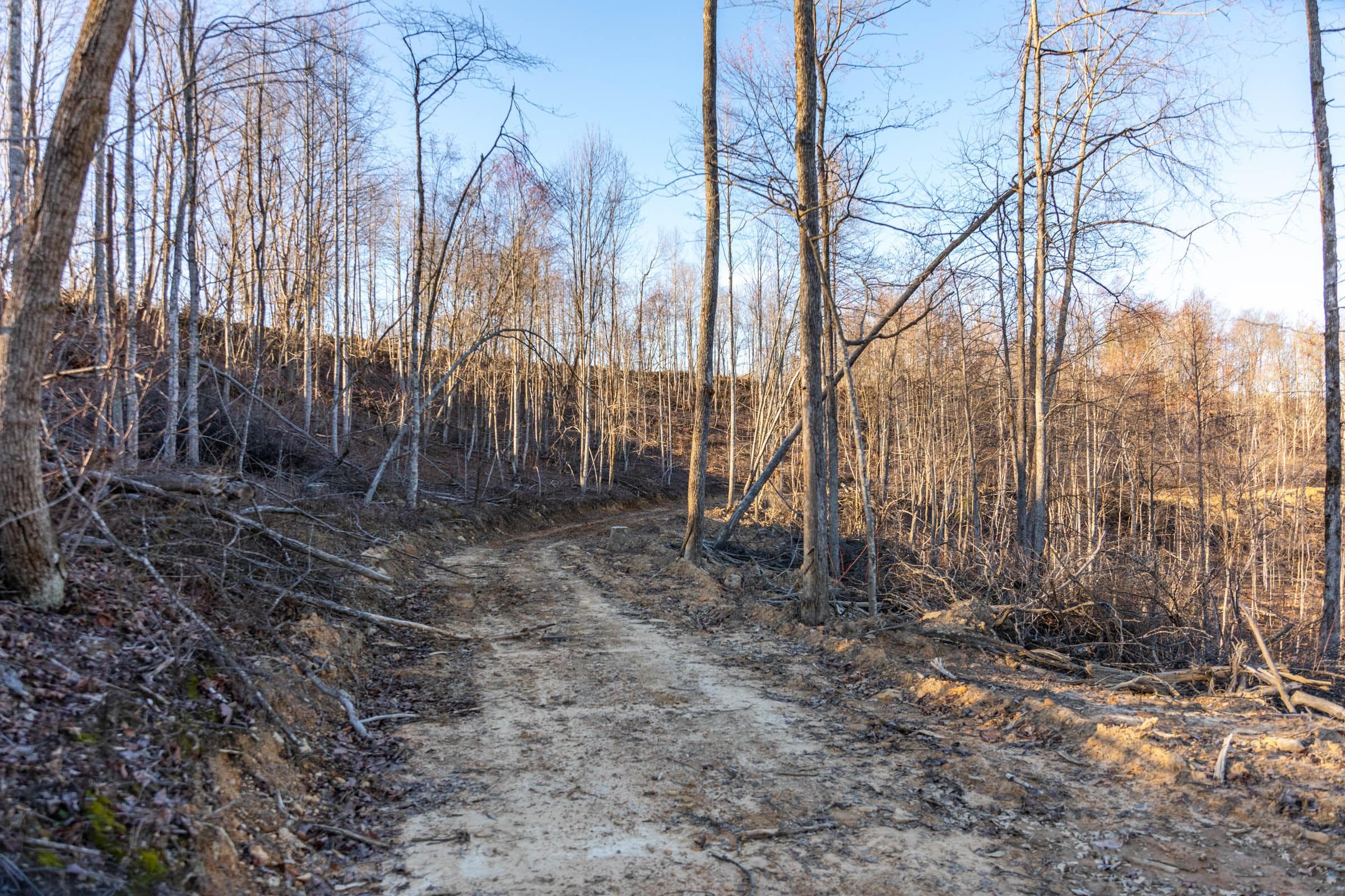 Creek Hollow Phase 1 — Zero Credit Land owner financed land for sale in Rockcastle County, Kentucky photo 41