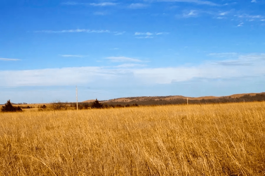 Cowboy Meadows — Zero Credit Land owner financed land for sale in Chautauqua County, Kansas photo 13