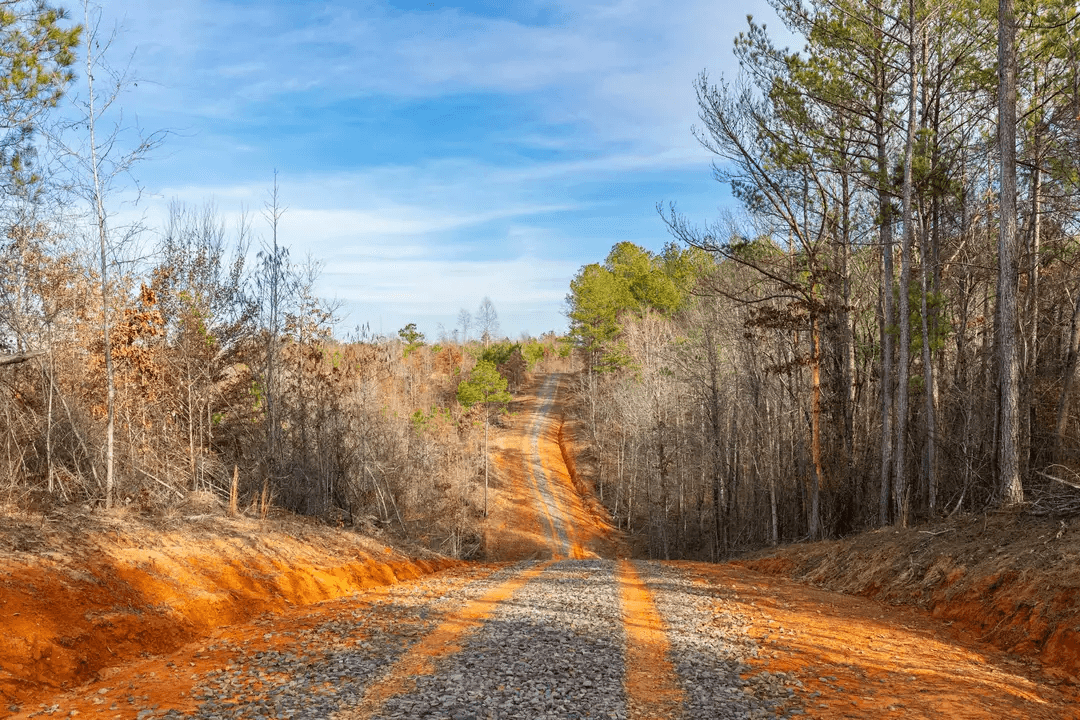 Baker Creek — Zero Credit Land owner financed land for sale in Fayette County, Alabama photo 21