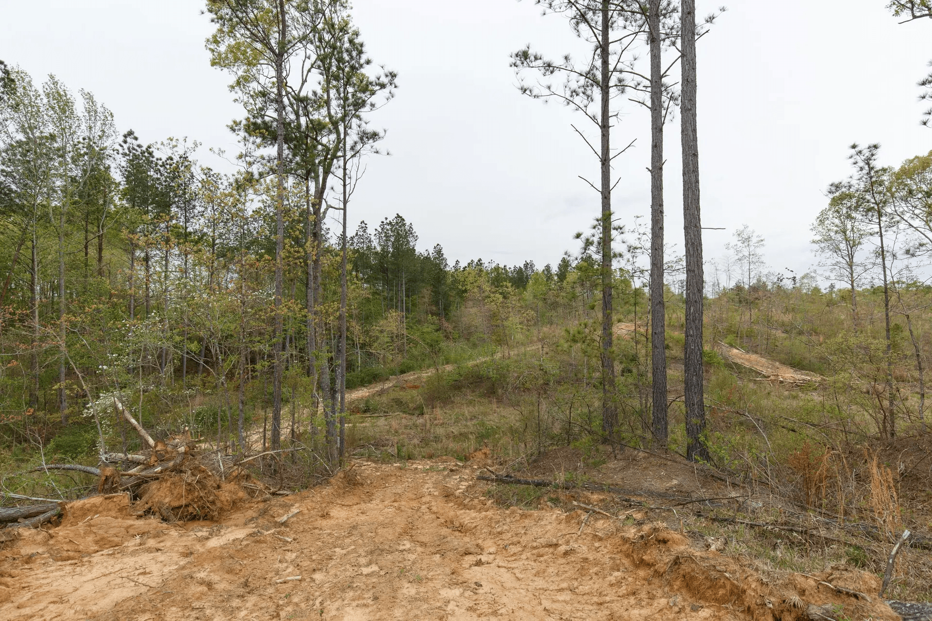 Twin Rivers — Zero Credit Land owner financed land for sale in Henderson County, Tennessee photo 32
