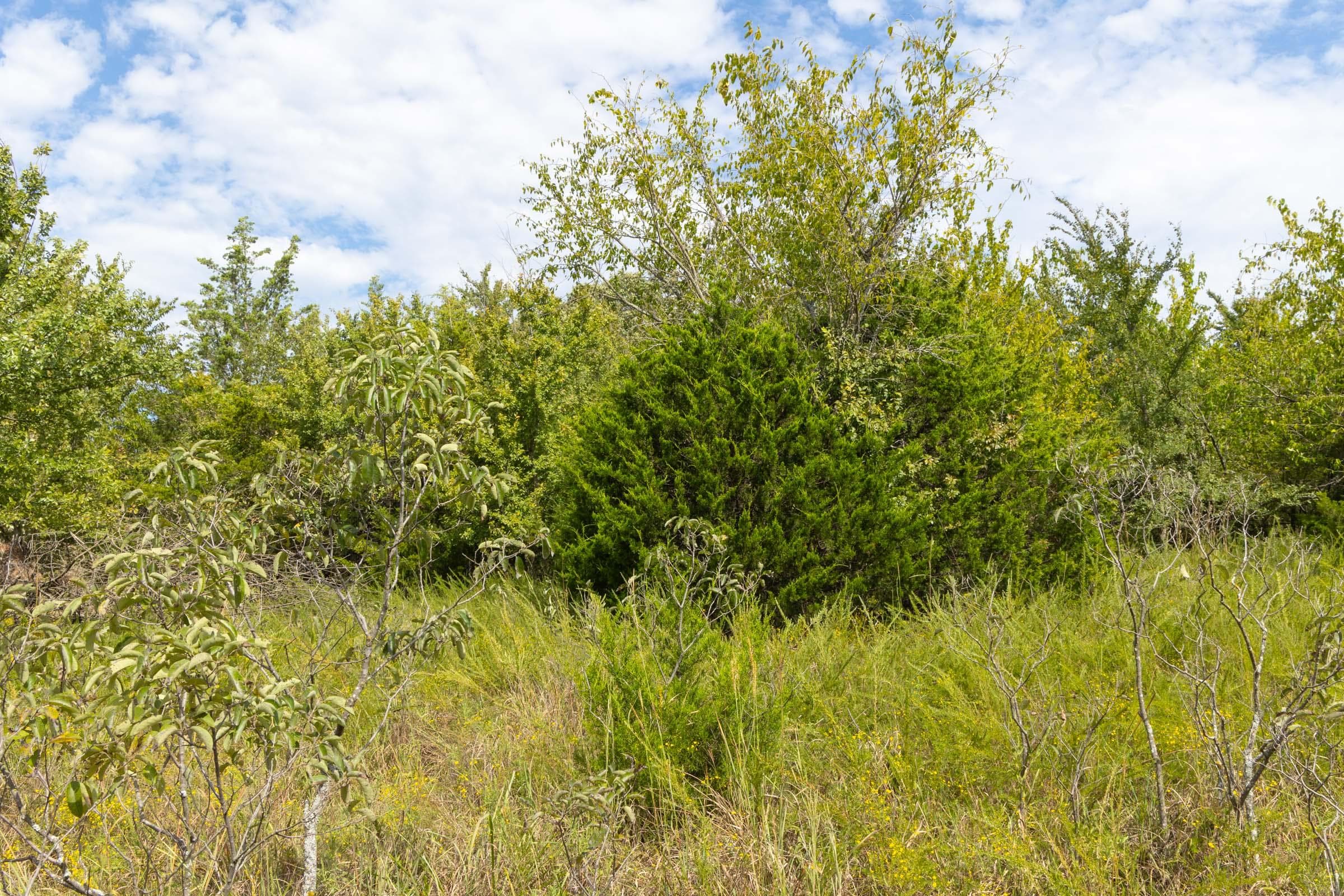  Reserves At Cattail Cove Phase II — Zero Credit Land owner financed land for sale in Pittsburg County, Oklahoma photo 60